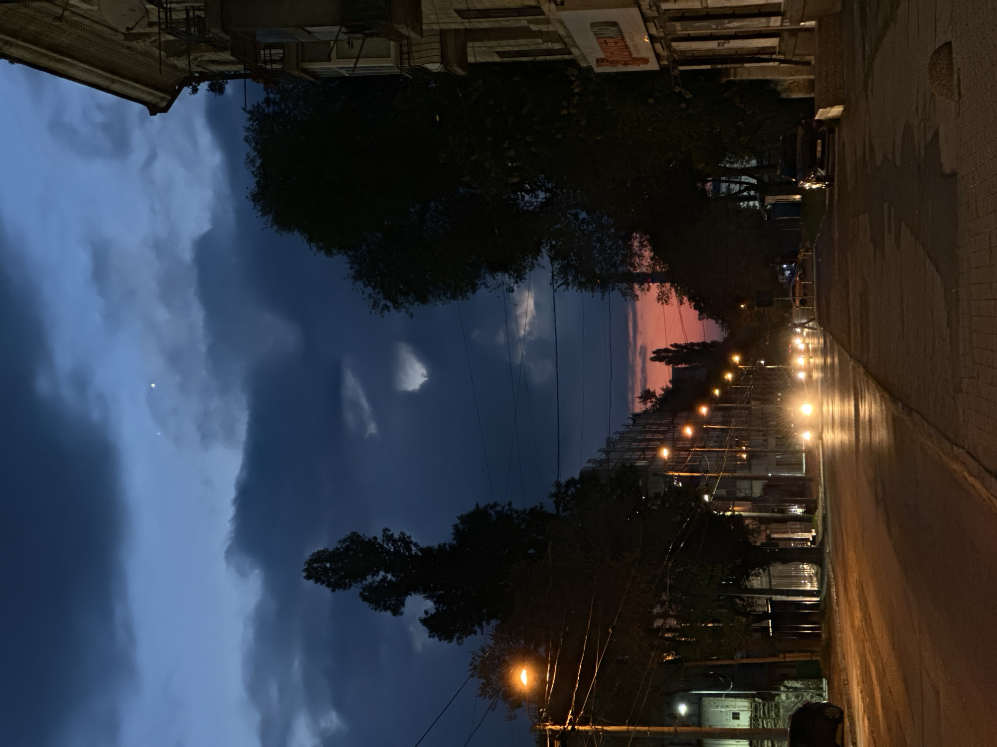 Evening scenes captured in Chișinău: stormy sunset, hydrangea flowers