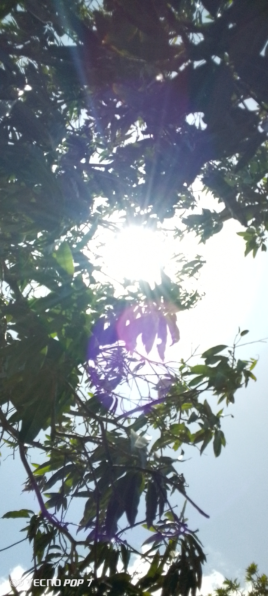 Hour-long sky watching session documented in Altagracia, Venezuela