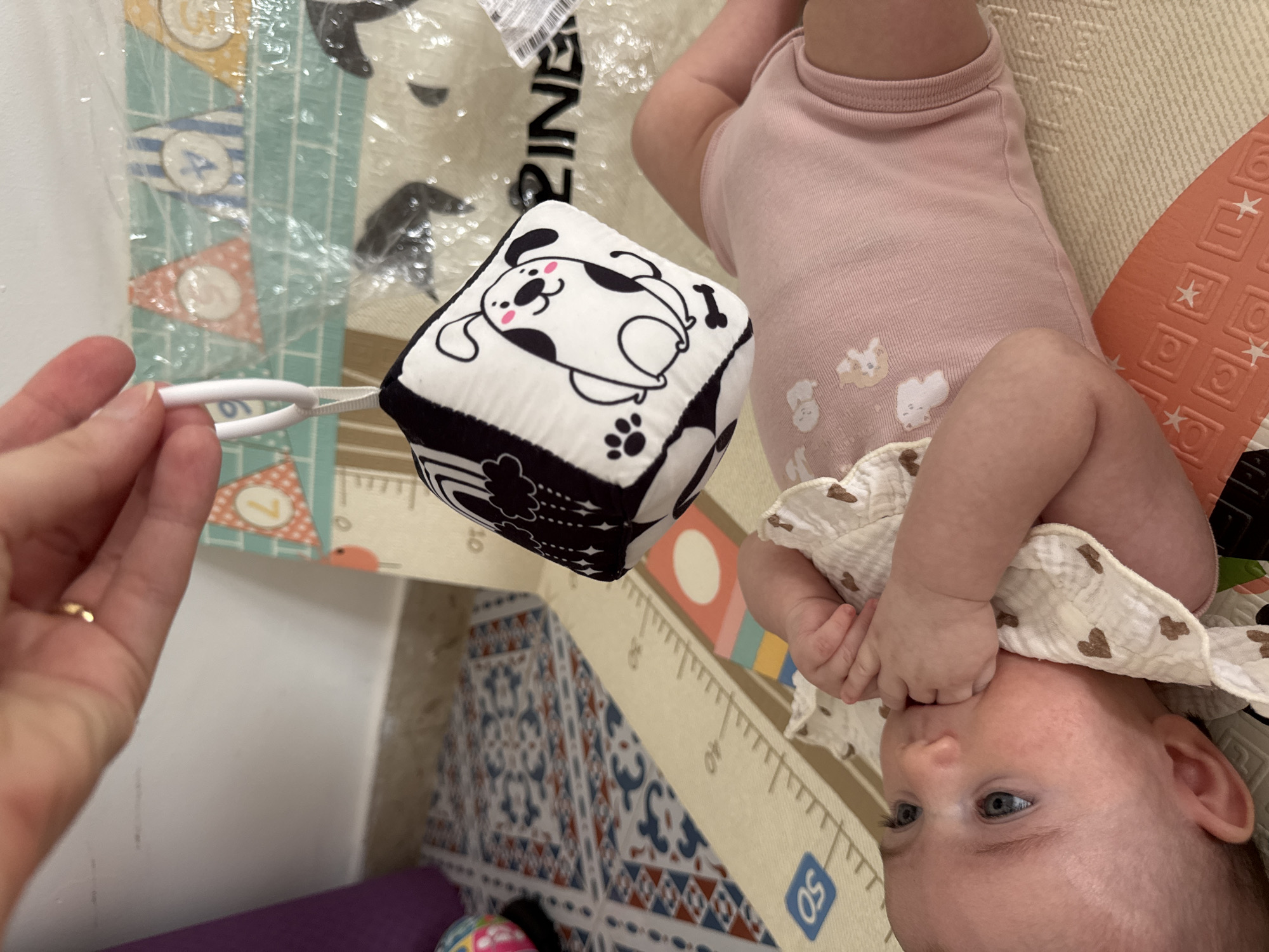 Baby playtime session with sensory toys in Isola delle Femmine
