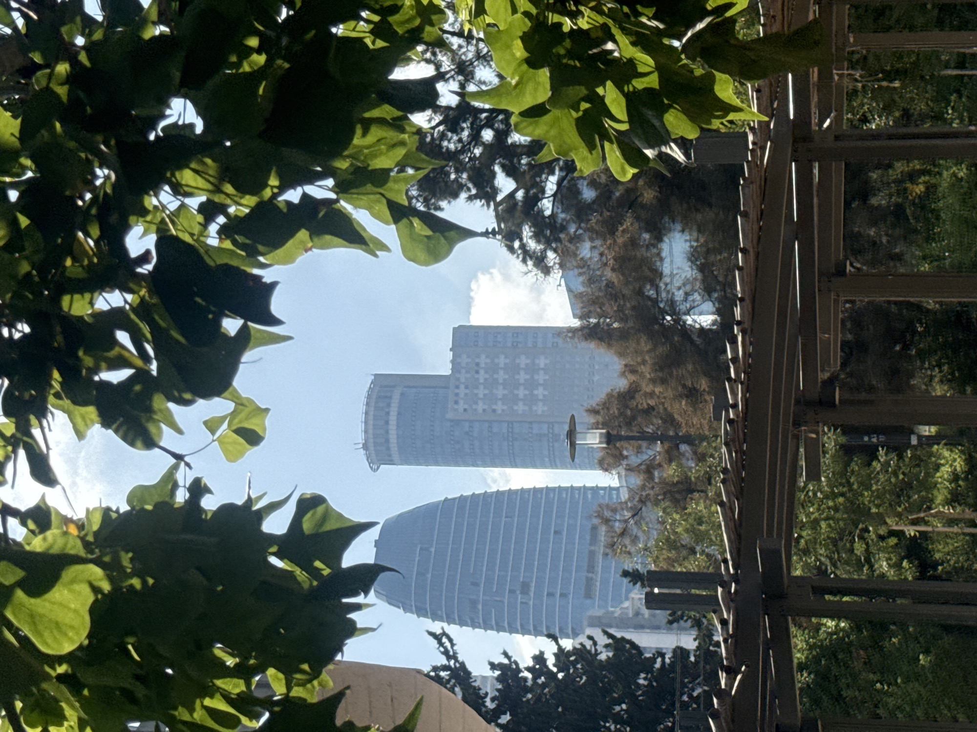 Afternoon stroll through Ramat Gan parks captures spring blooms