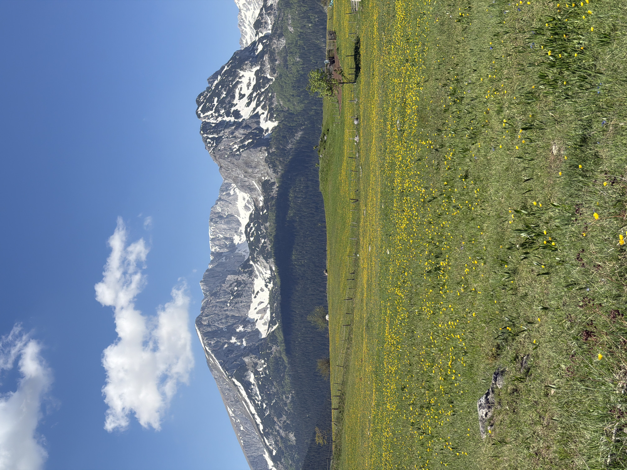 Mountain landscape with snow-capped peaks observed near Žabljak, Montenegro