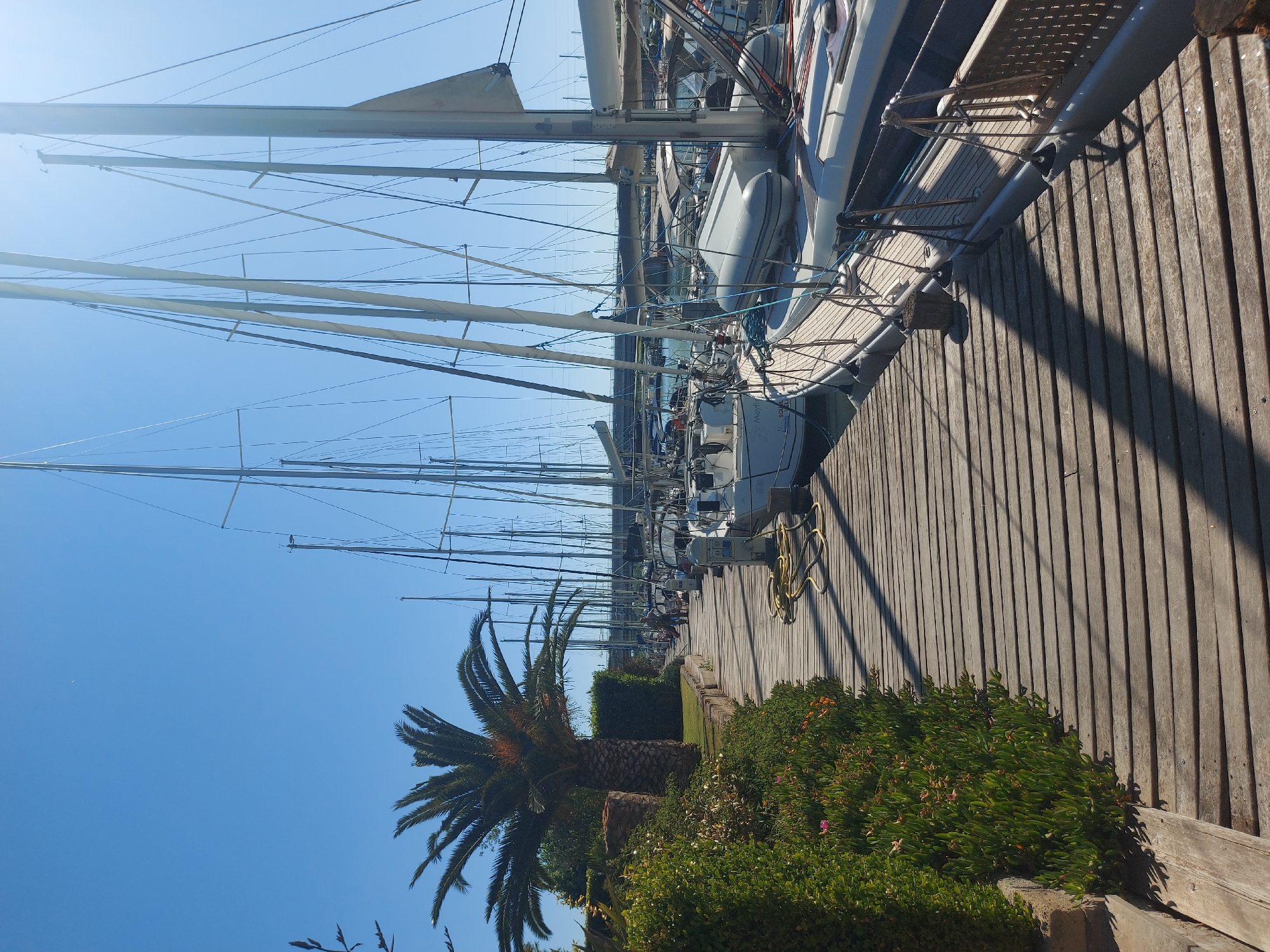 Morning scene at Fiumicino marina captures peaceful sailboat docking