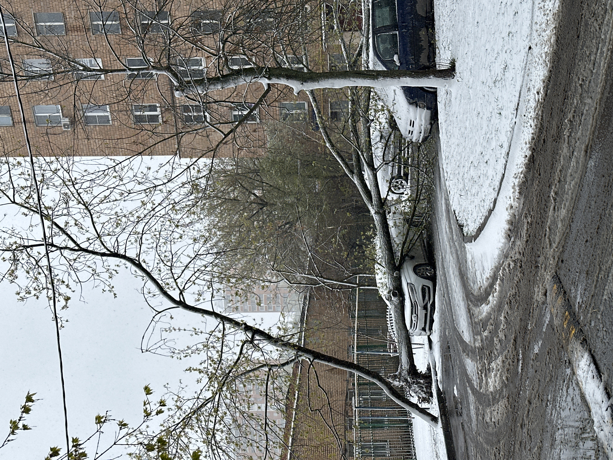 Late spring snowfall observed in Khimki, Russia