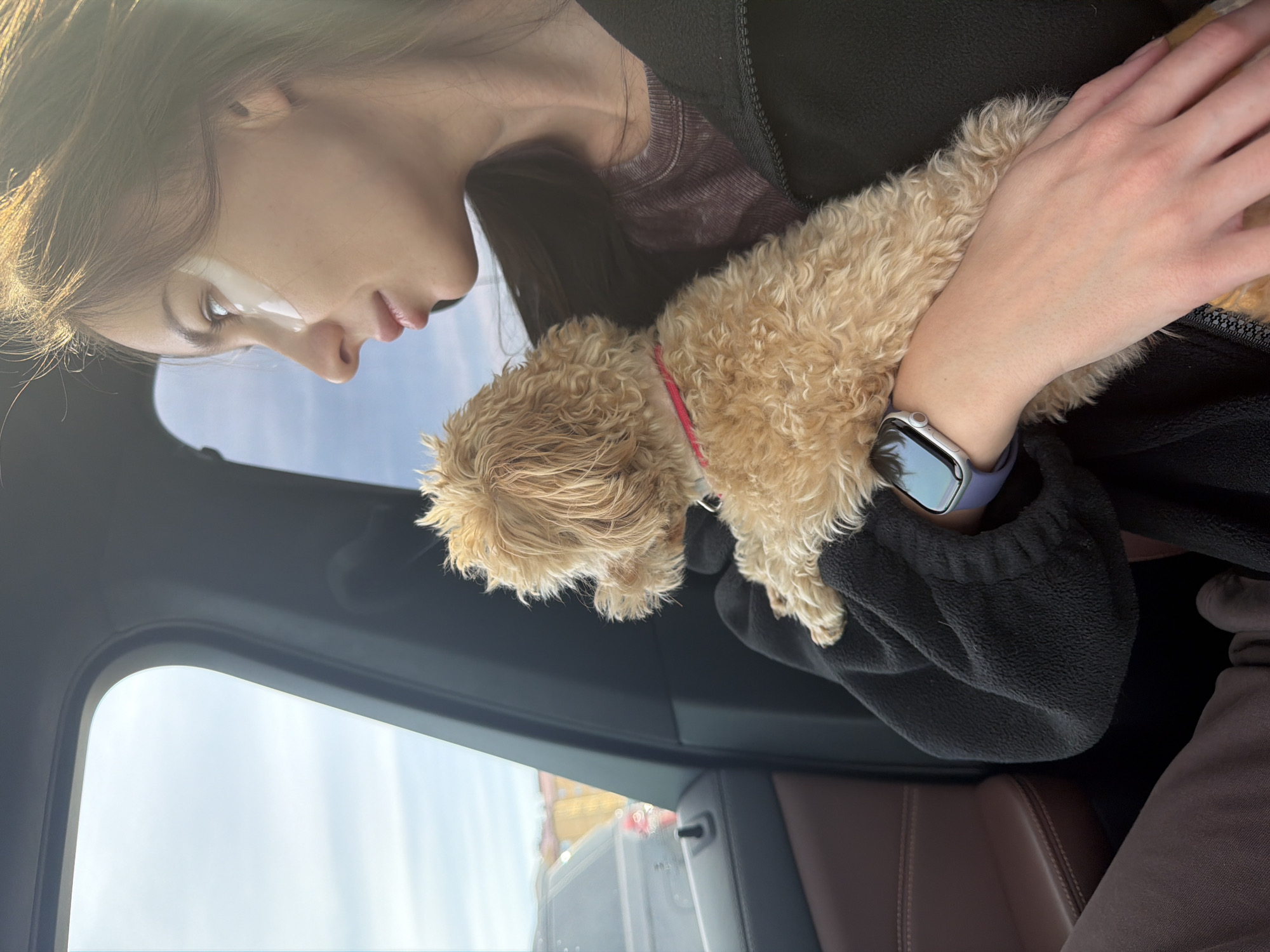 Person holds small dog in vehicle in Мокшино, Russia