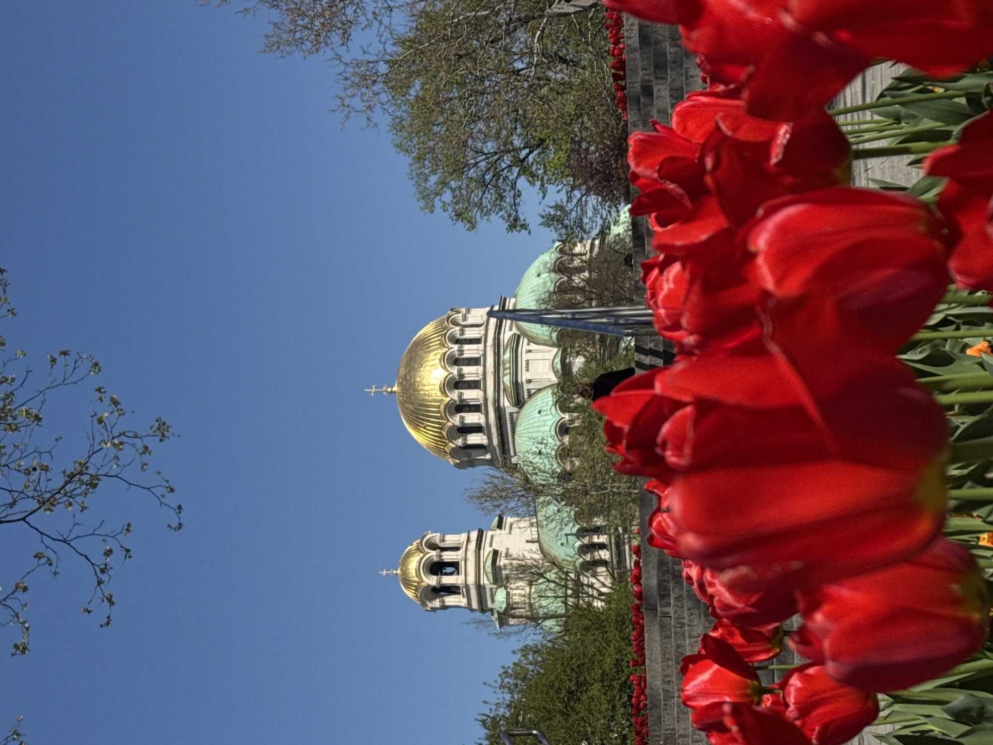 Spring tulips bloom near Alexander Nevsky Cathedral in Sofia