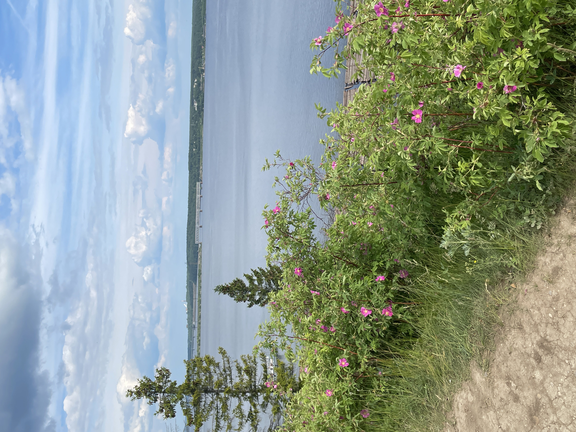 Family outing at Russian riverside cliffs captures peaceful moments