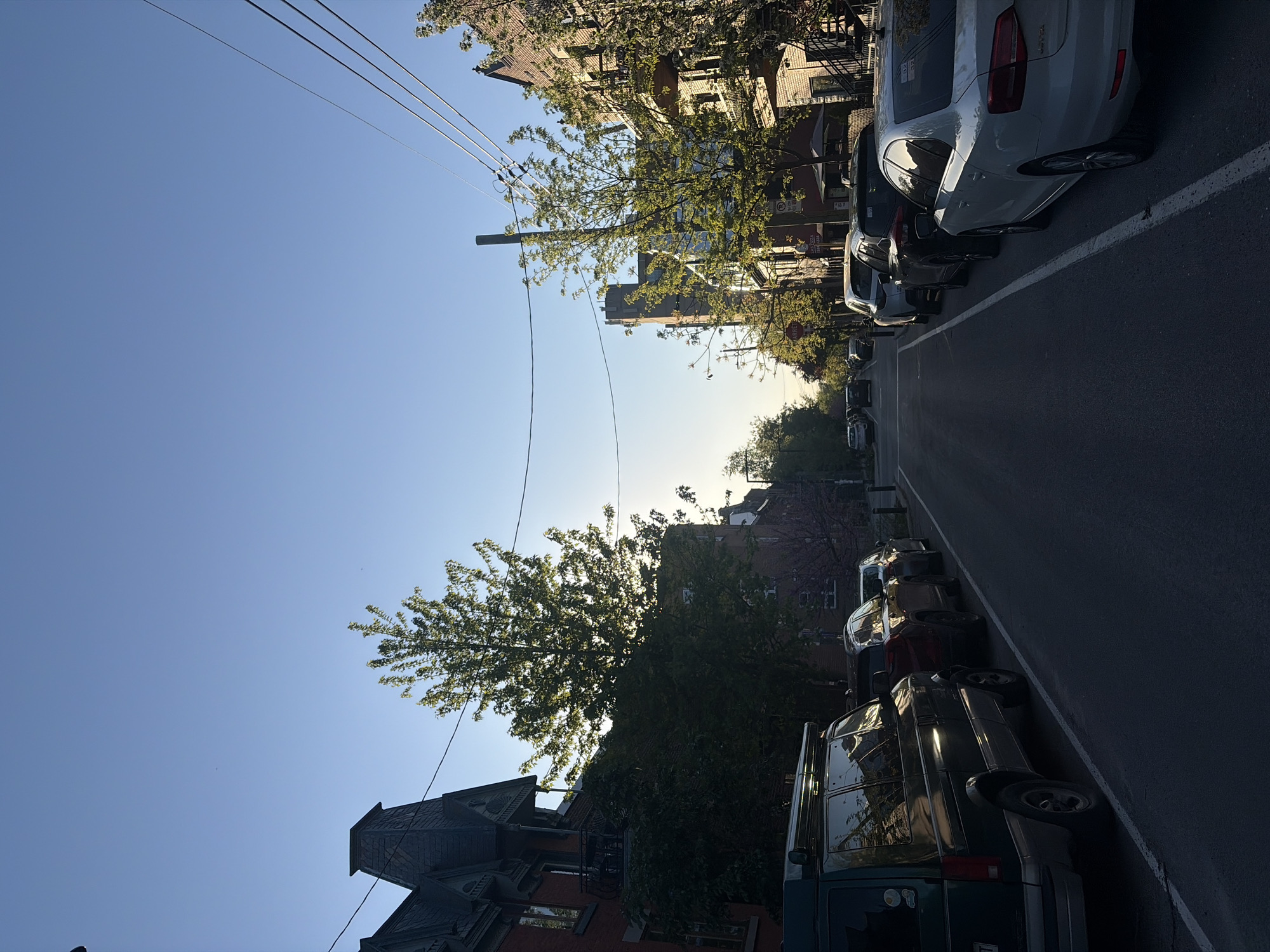 Quiet residential street captured in Montreal on sunny evening