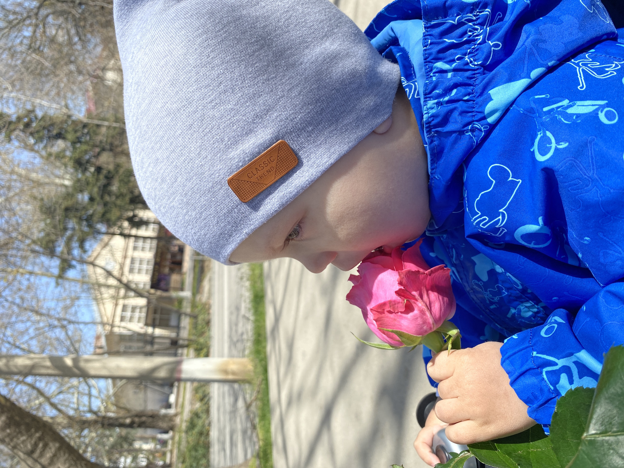Child enjoys pink rose on Sevastopol sidewalk