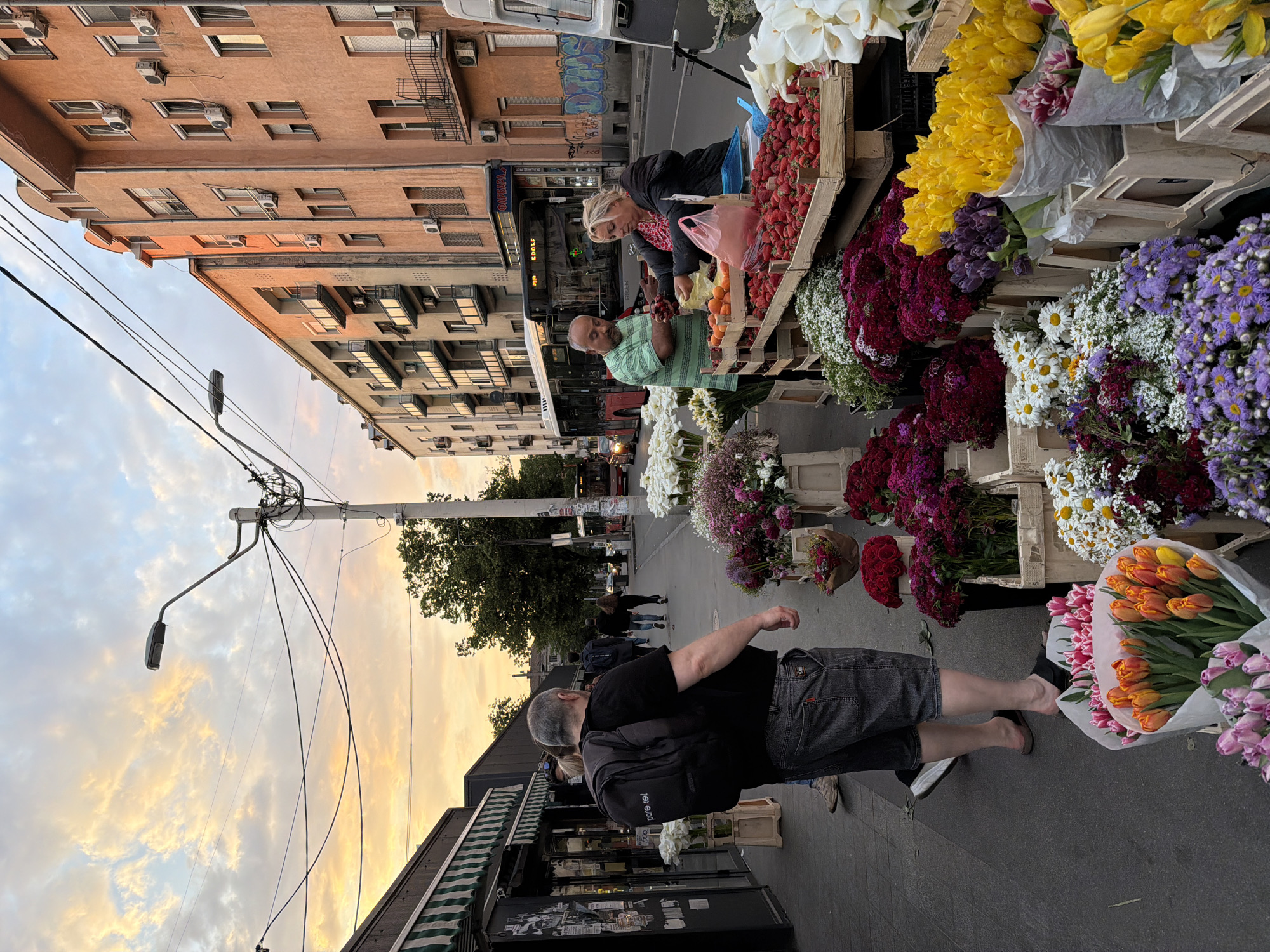 Afternoon market life and street cats captured in Belgrade district
