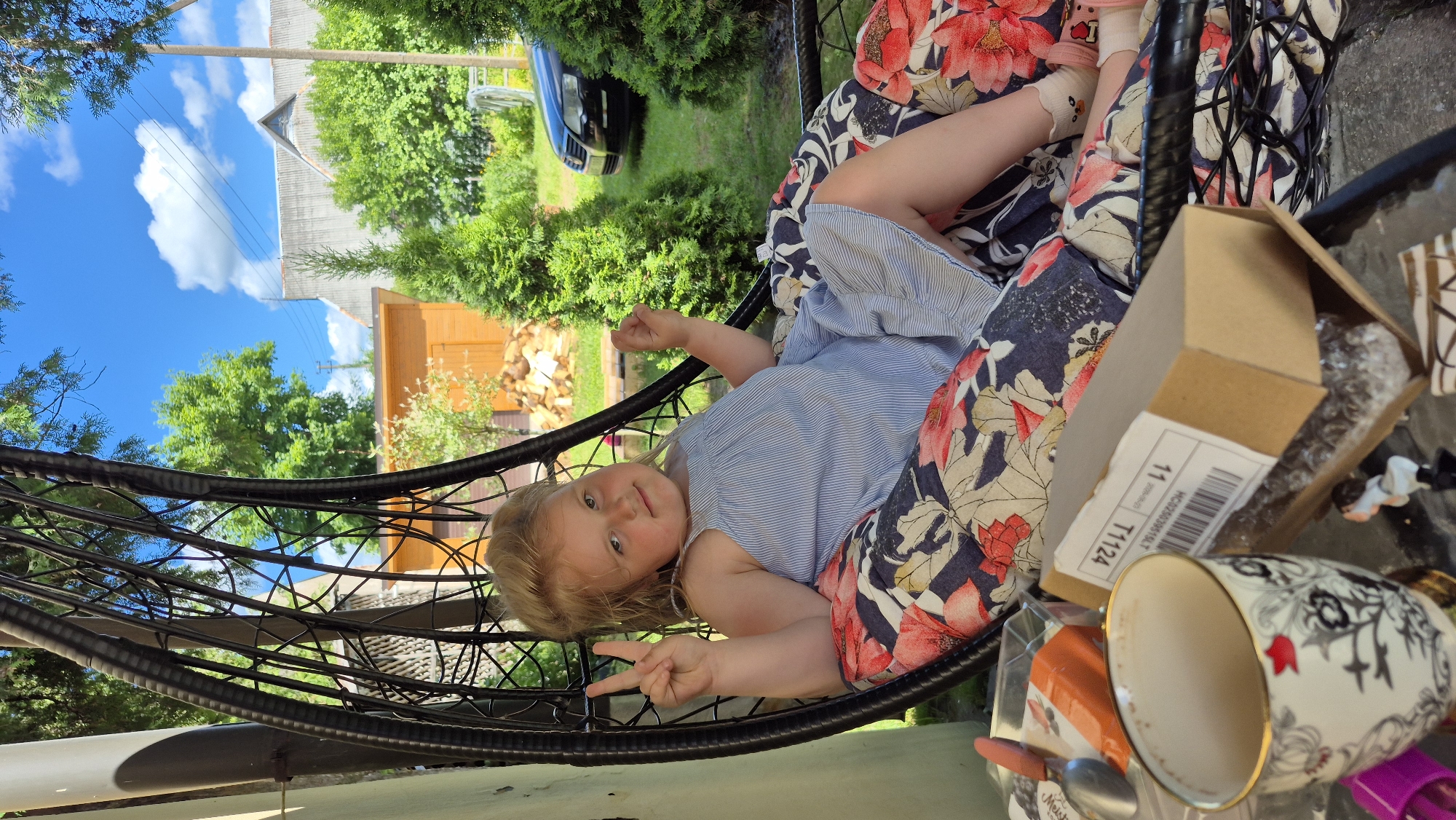 Summer morning at a Švenčionys backyard, church nearby