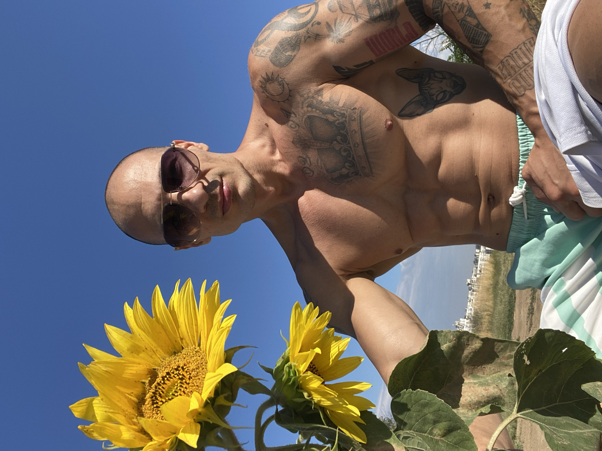 Summer morning in Pleven's wheat fields, sunflowers in hand