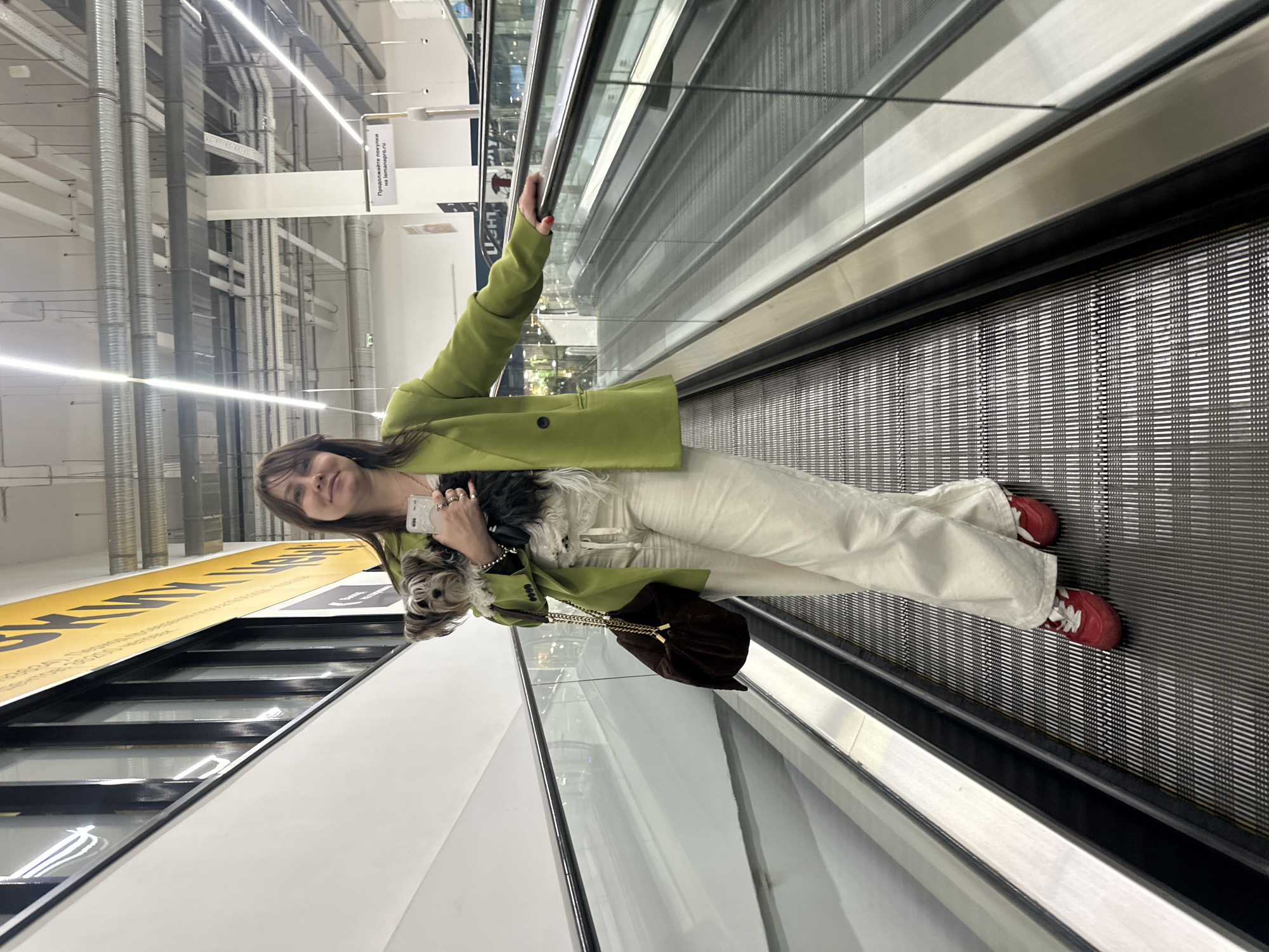 Shoppers bring pet dogs to Moscow retail store