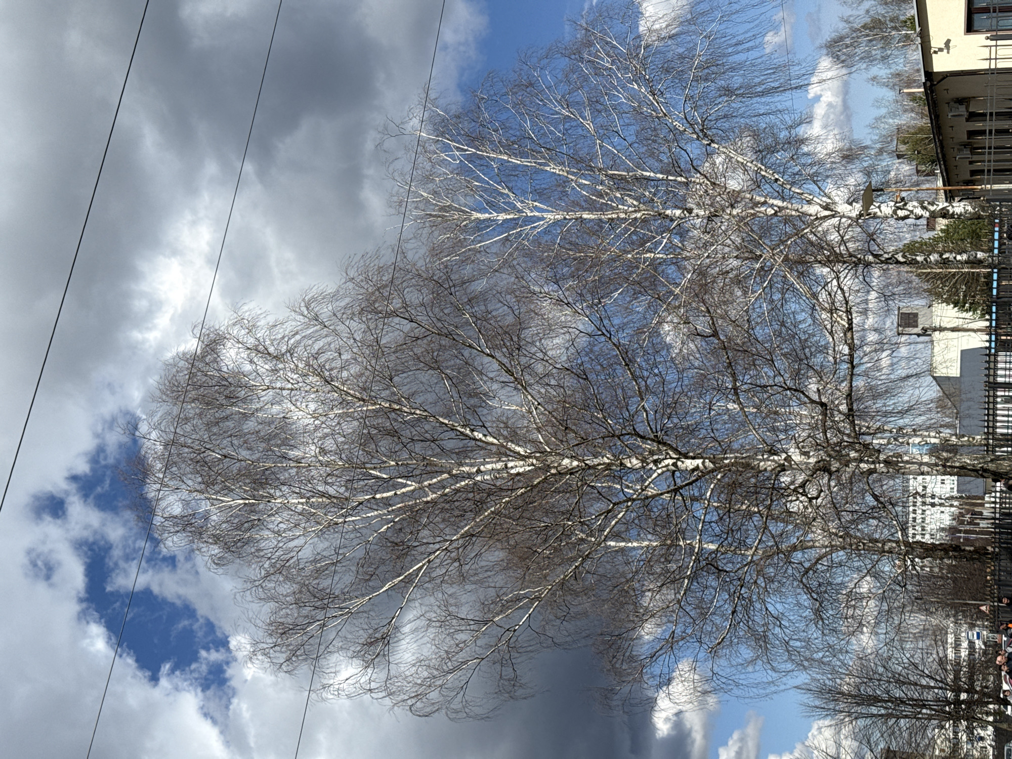 Dramatic spring landscape documented in Chaikovsky, Russia