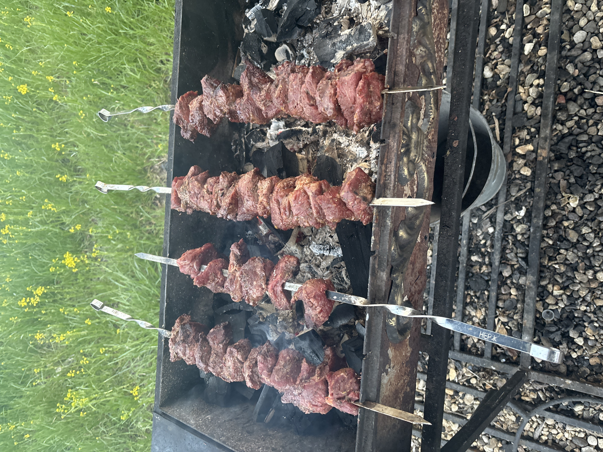 Outdoor grilling session documented in Podzhigorodovo, Russia