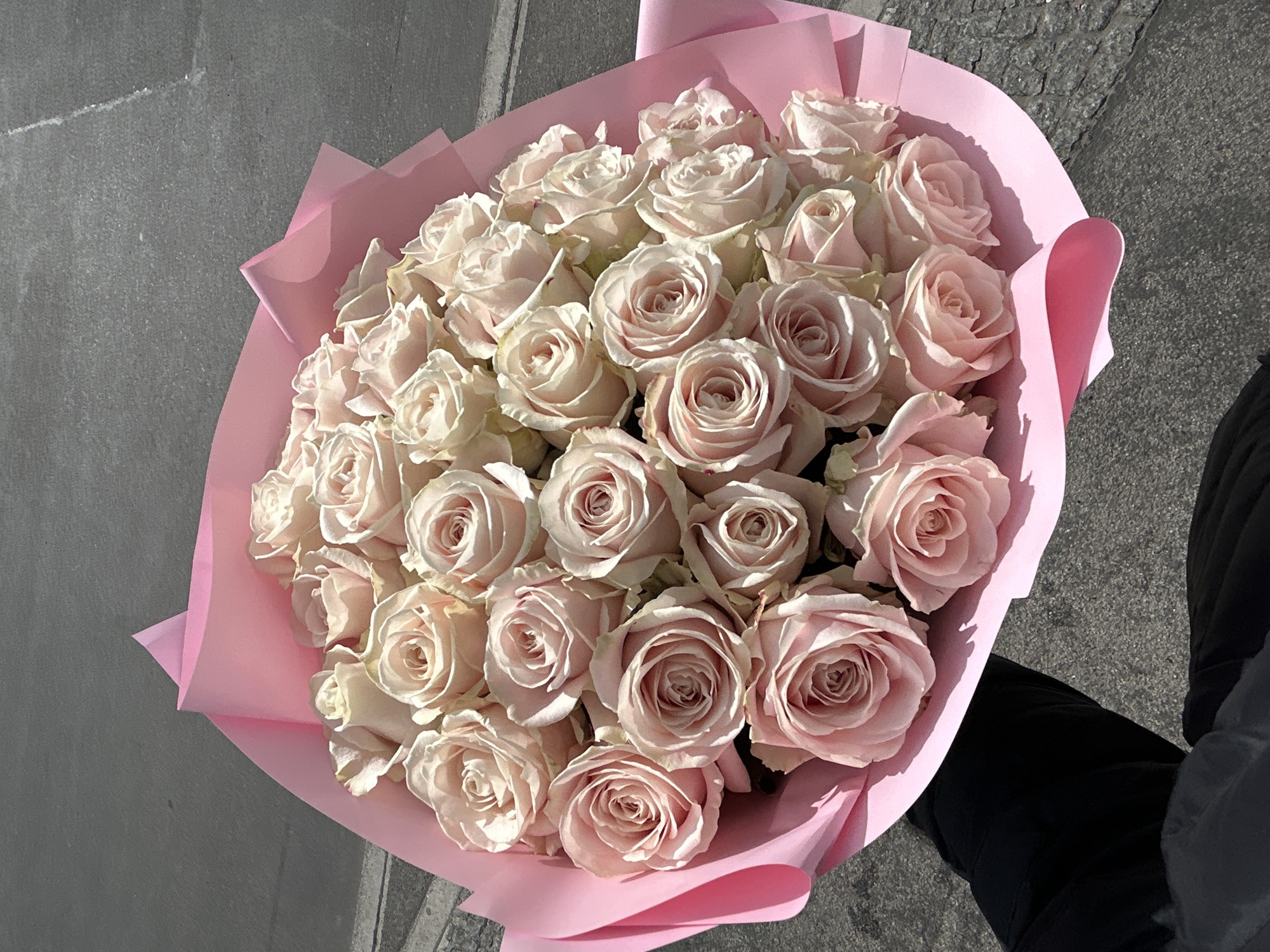 Man with pink rose bouquet spotted on Berlin sidewalk