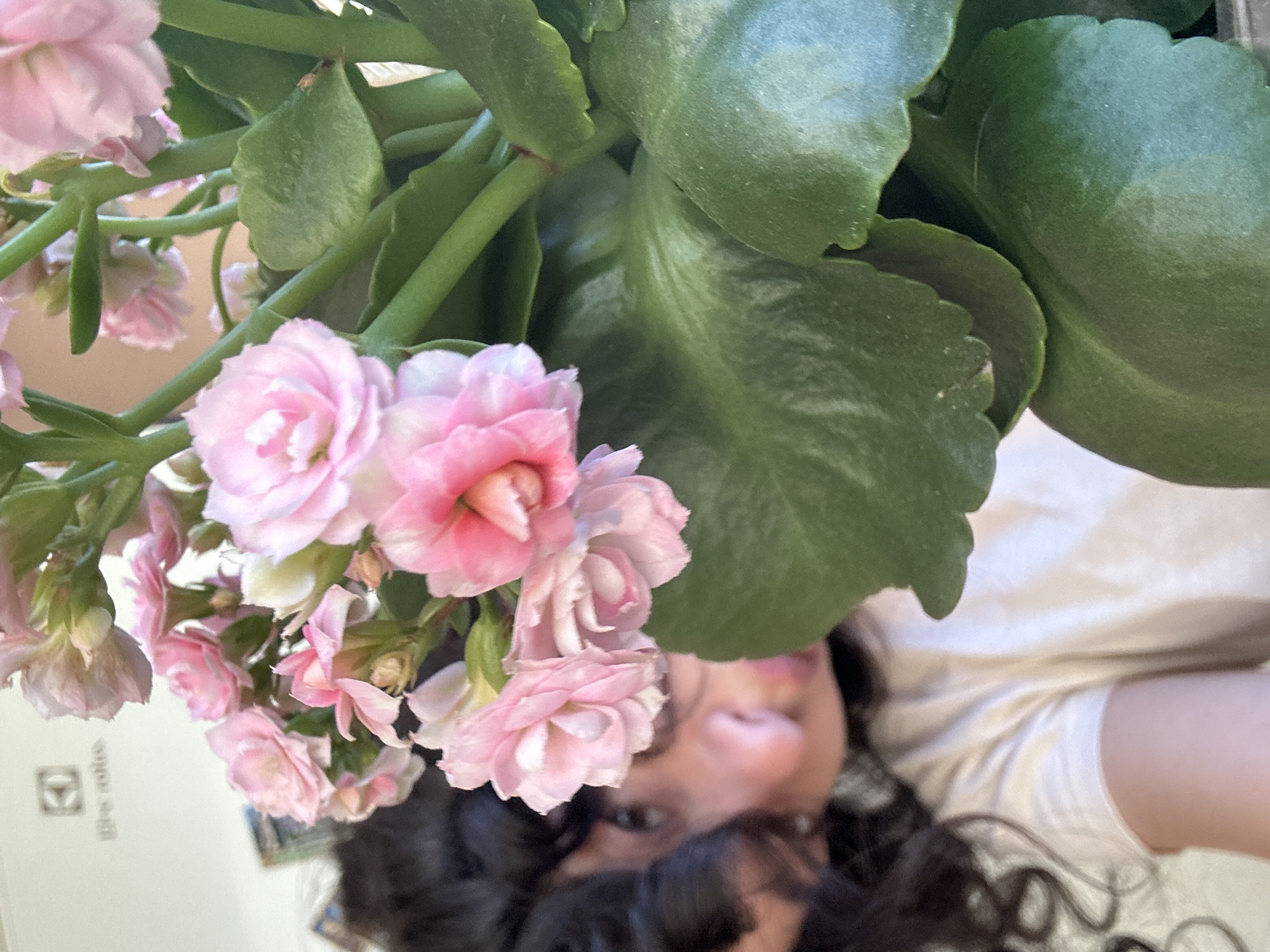 Selfie session with flower photography in Sofia