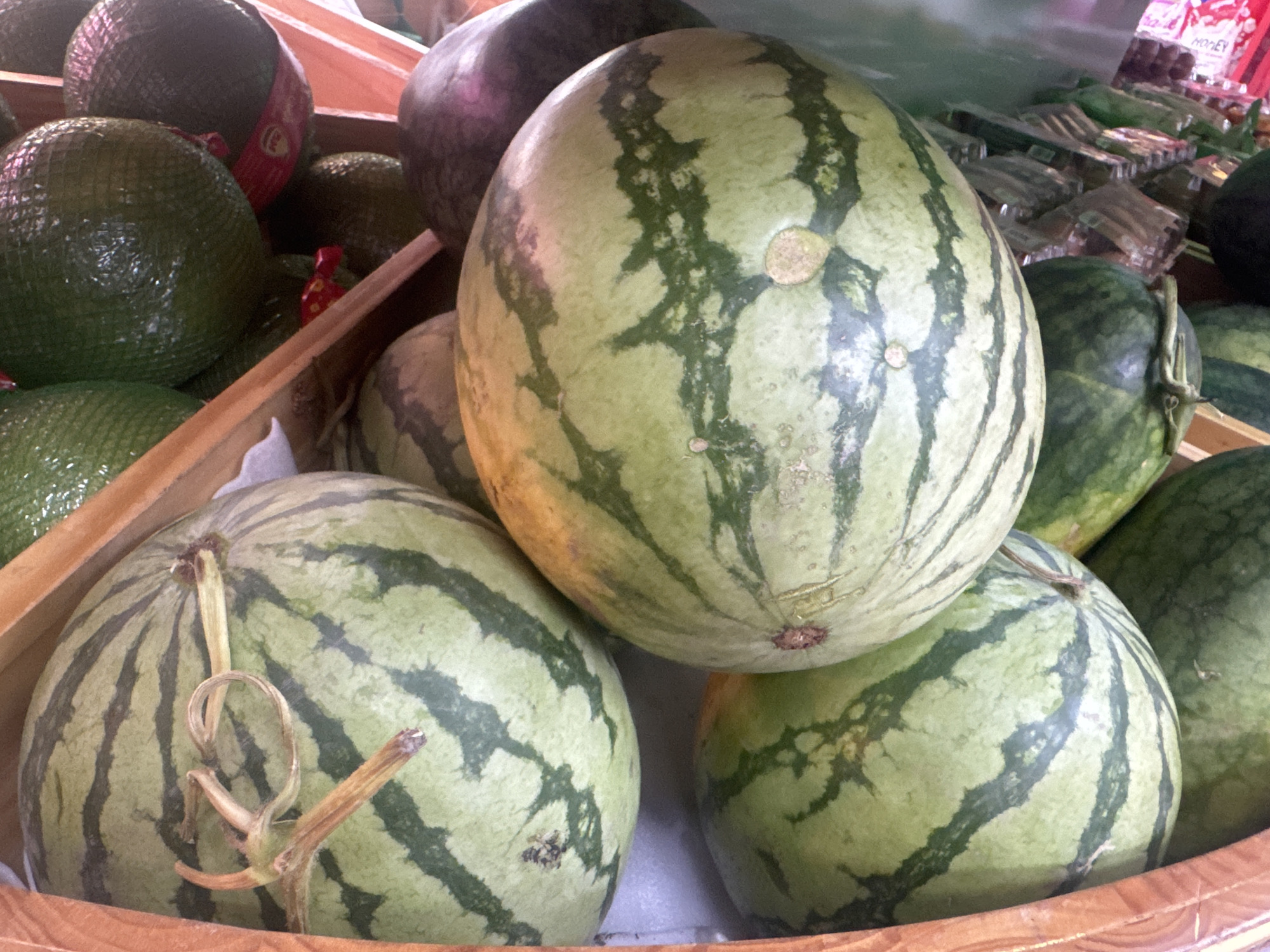 Shopper documents fresh fruit market visit in Nha Trang