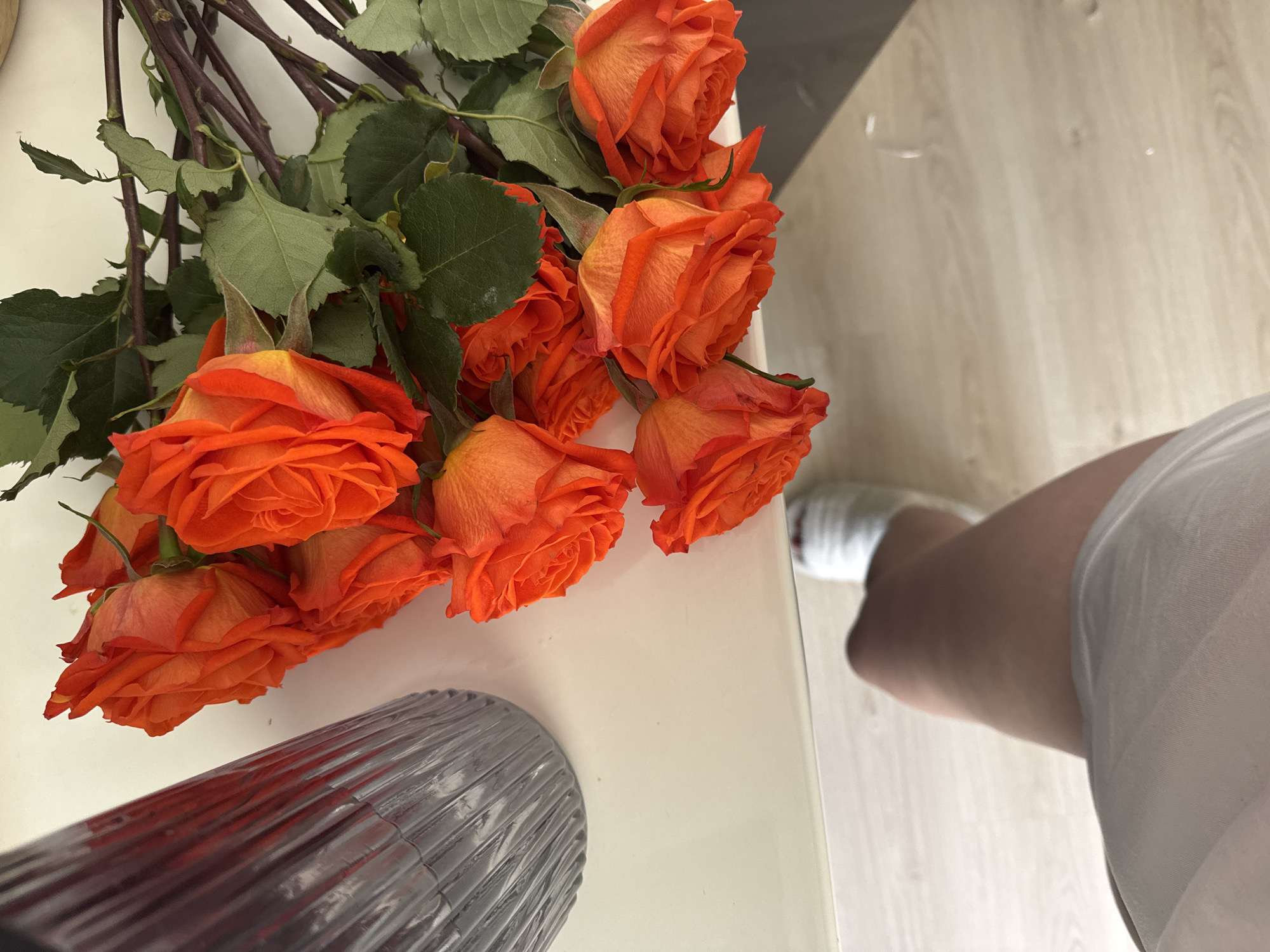 Orange roses resting beside a ridged glass vase