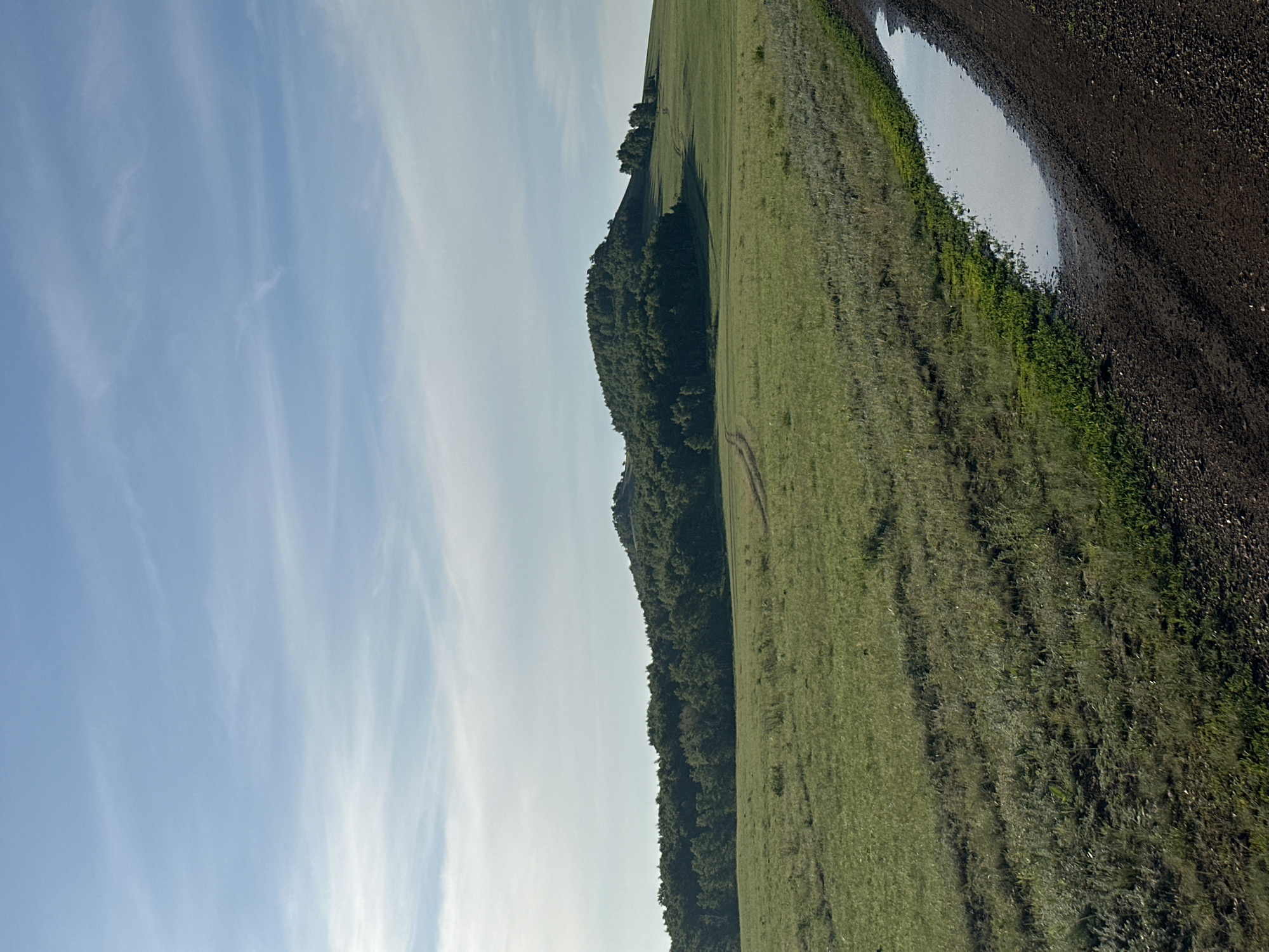 Rural landscape documented in Kokshetau, Kazakhstan
