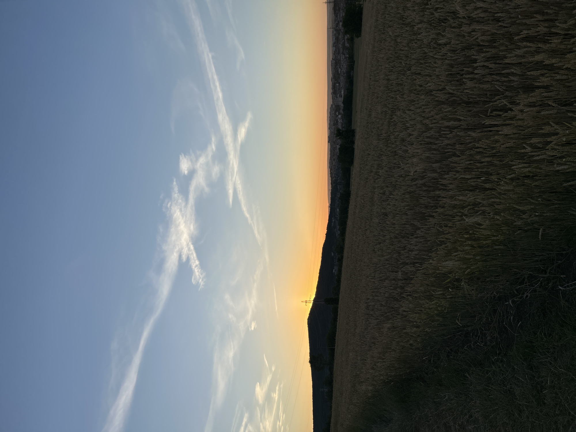 Golden hour walk through wheat fields and rural dirt paths