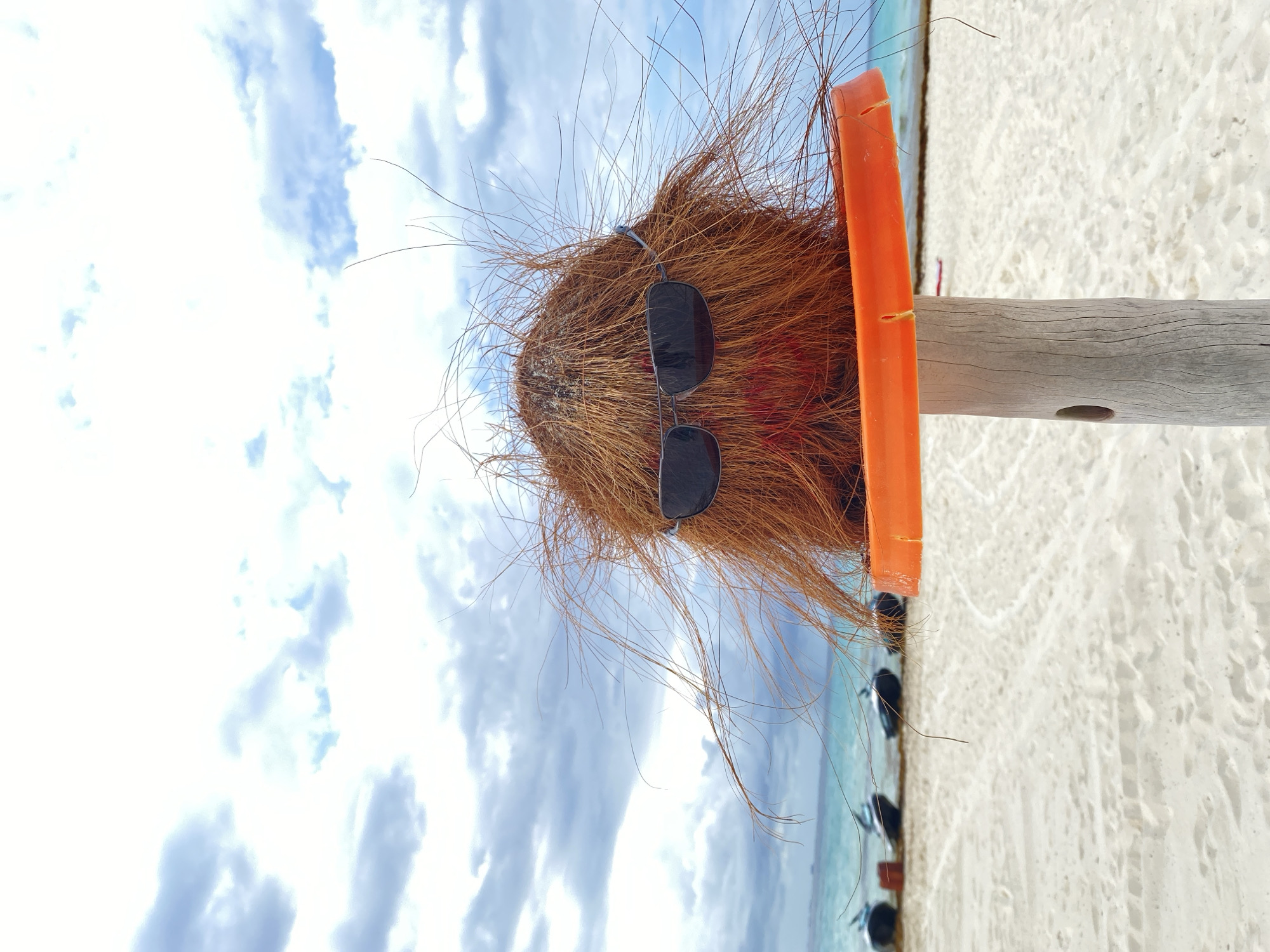 Sunglassed coconut spotted on Playa del Carmen beach