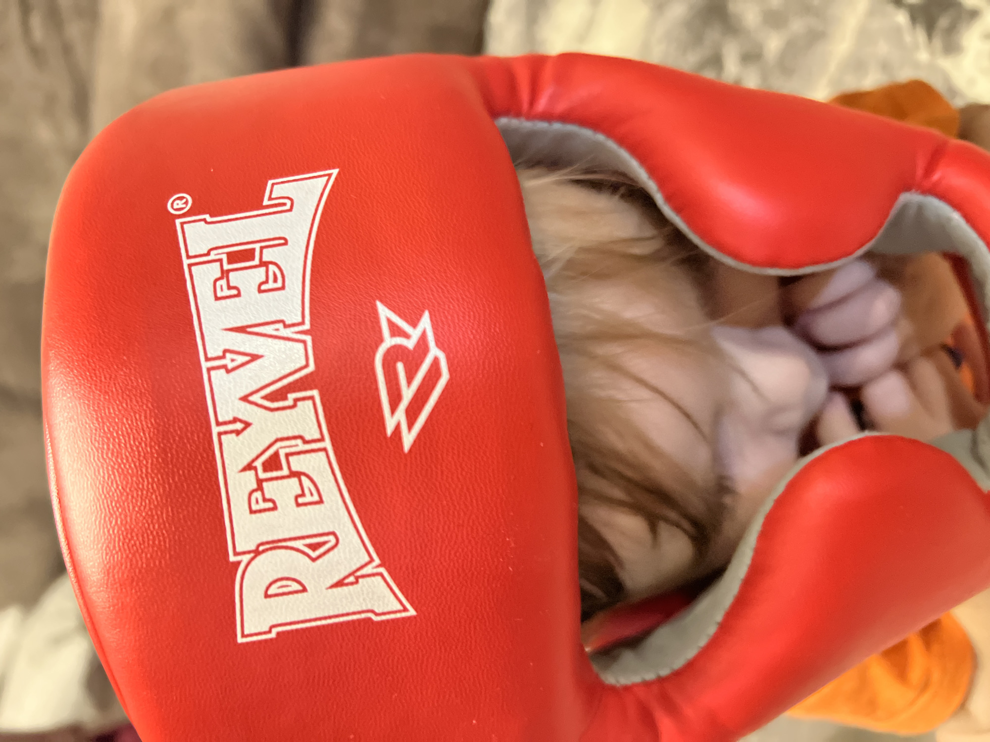 Family activities with boxing play and meal prep in Noviy