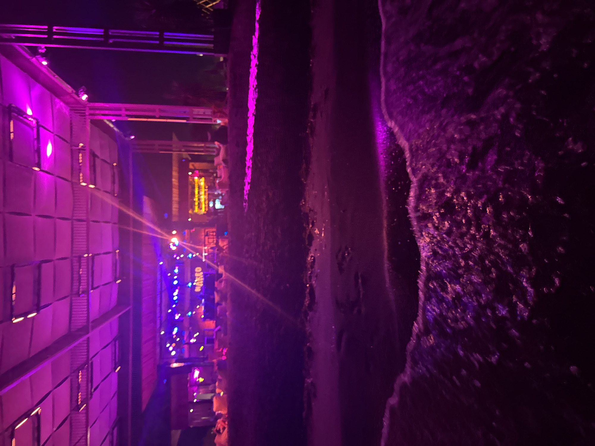 Night at Naked beach club, Burgas — purple lights, dancing, drinks