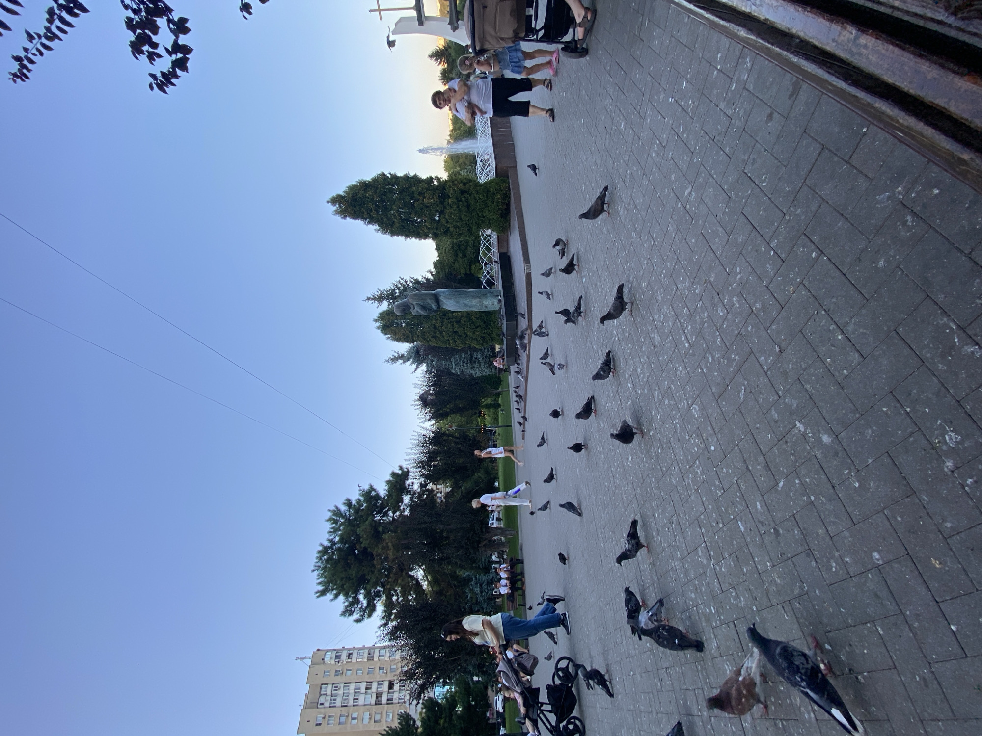 Pigeons and park life around Chișinău's central monuments