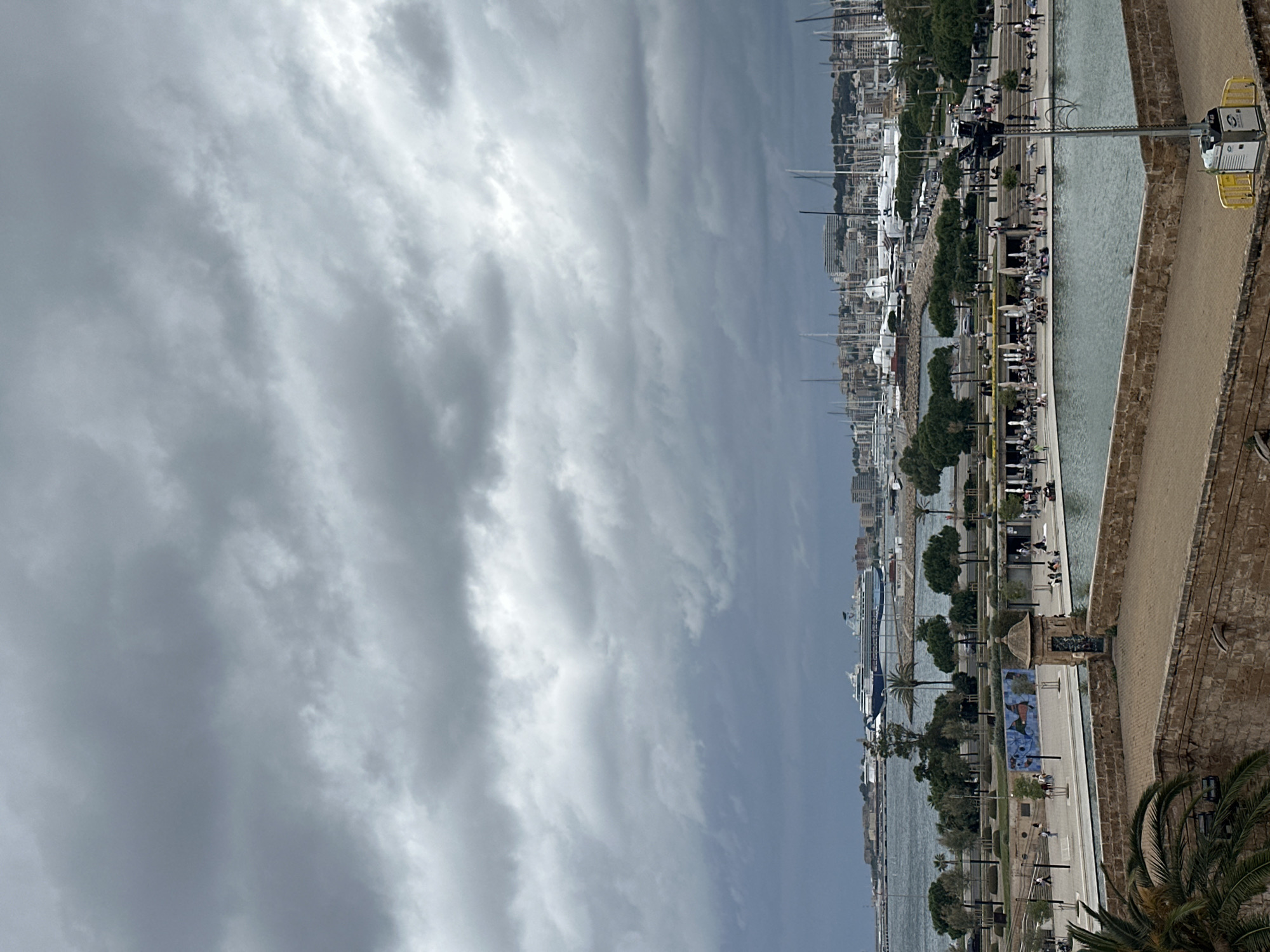 Tourists photograph Palma Cathedral and harbor views under cloudy skies
