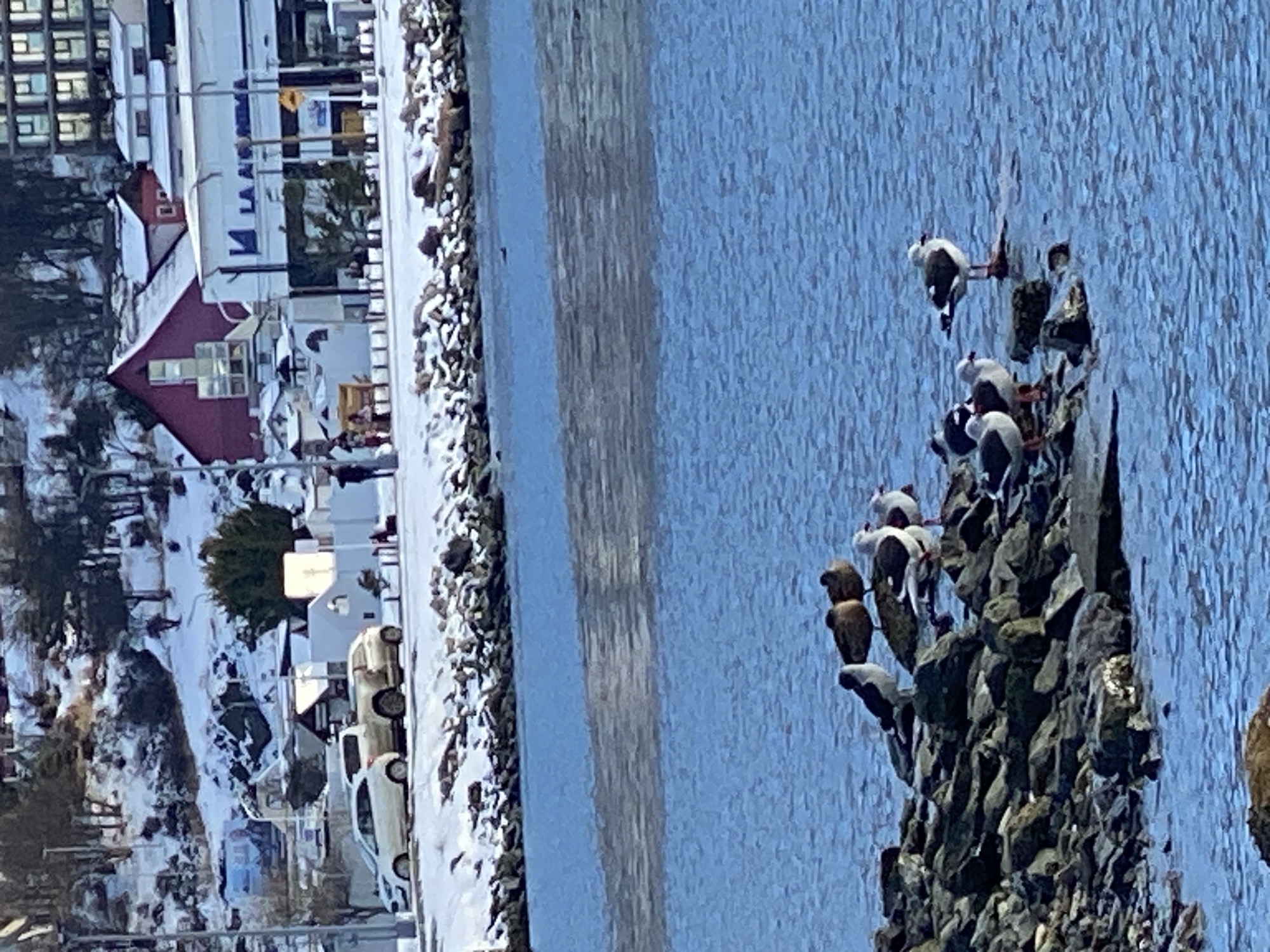 Ushuaia, Argentina