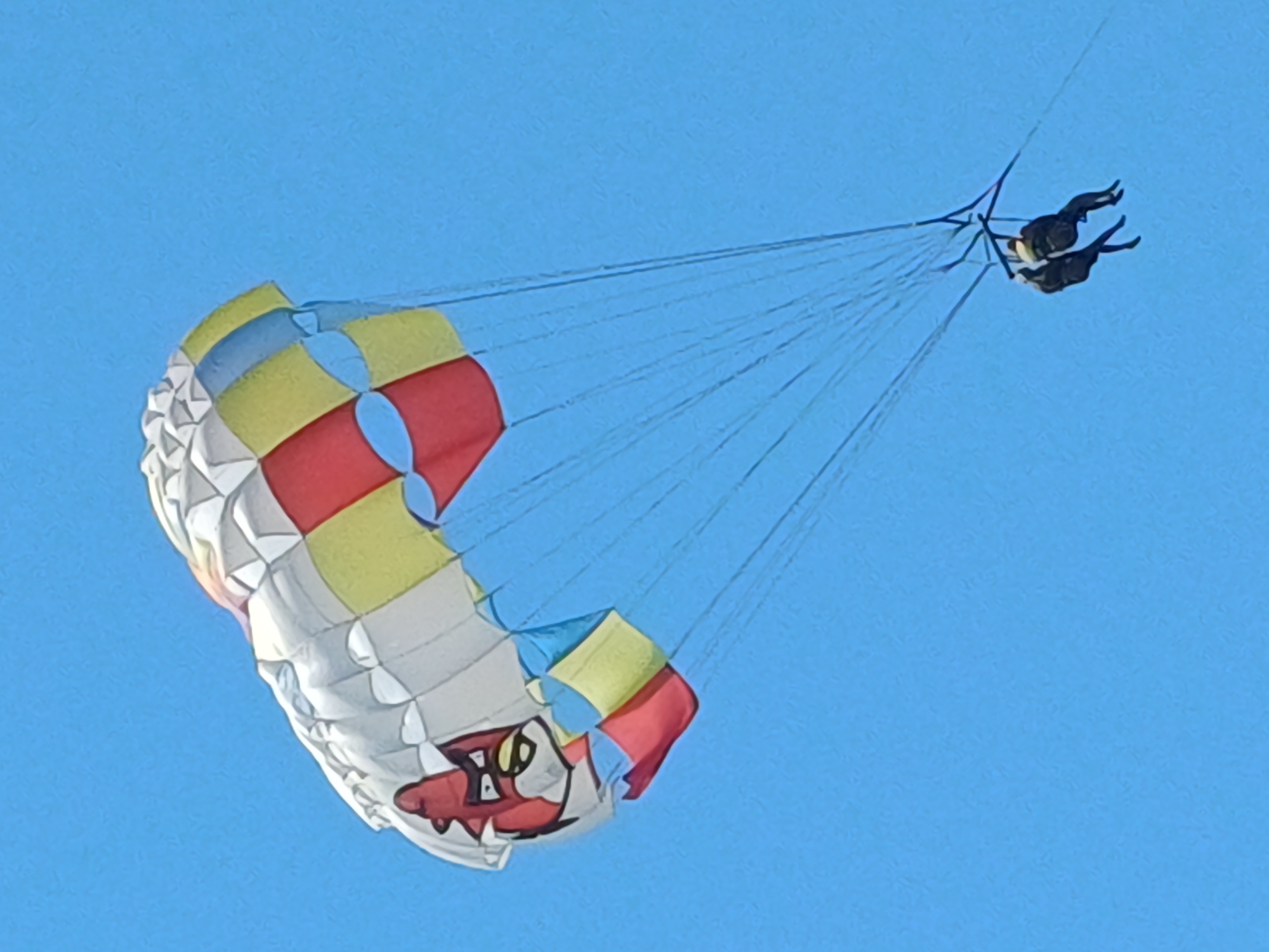 Summer day on Sochi's Black Sea coast: parasailing, paddleboarding, swimming