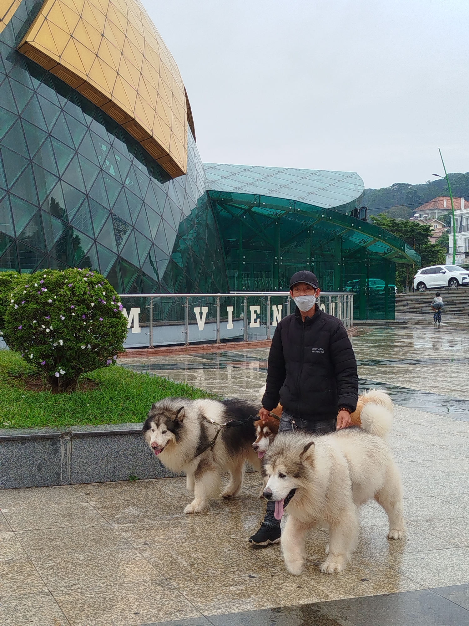 Ordinary Friday morning moments captured across Da Lat streets