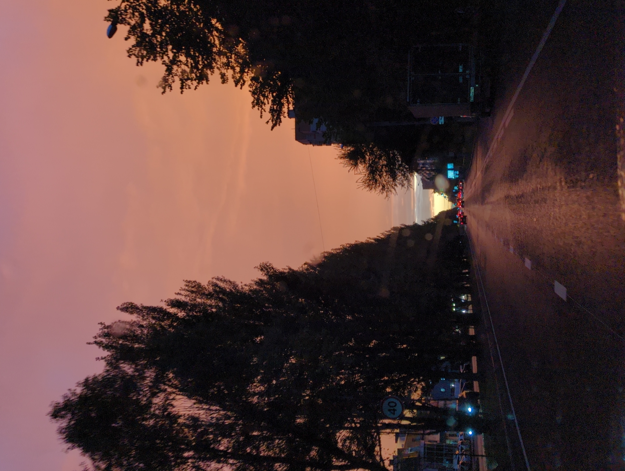 Wet Kazan street at twilight, trees lining the road