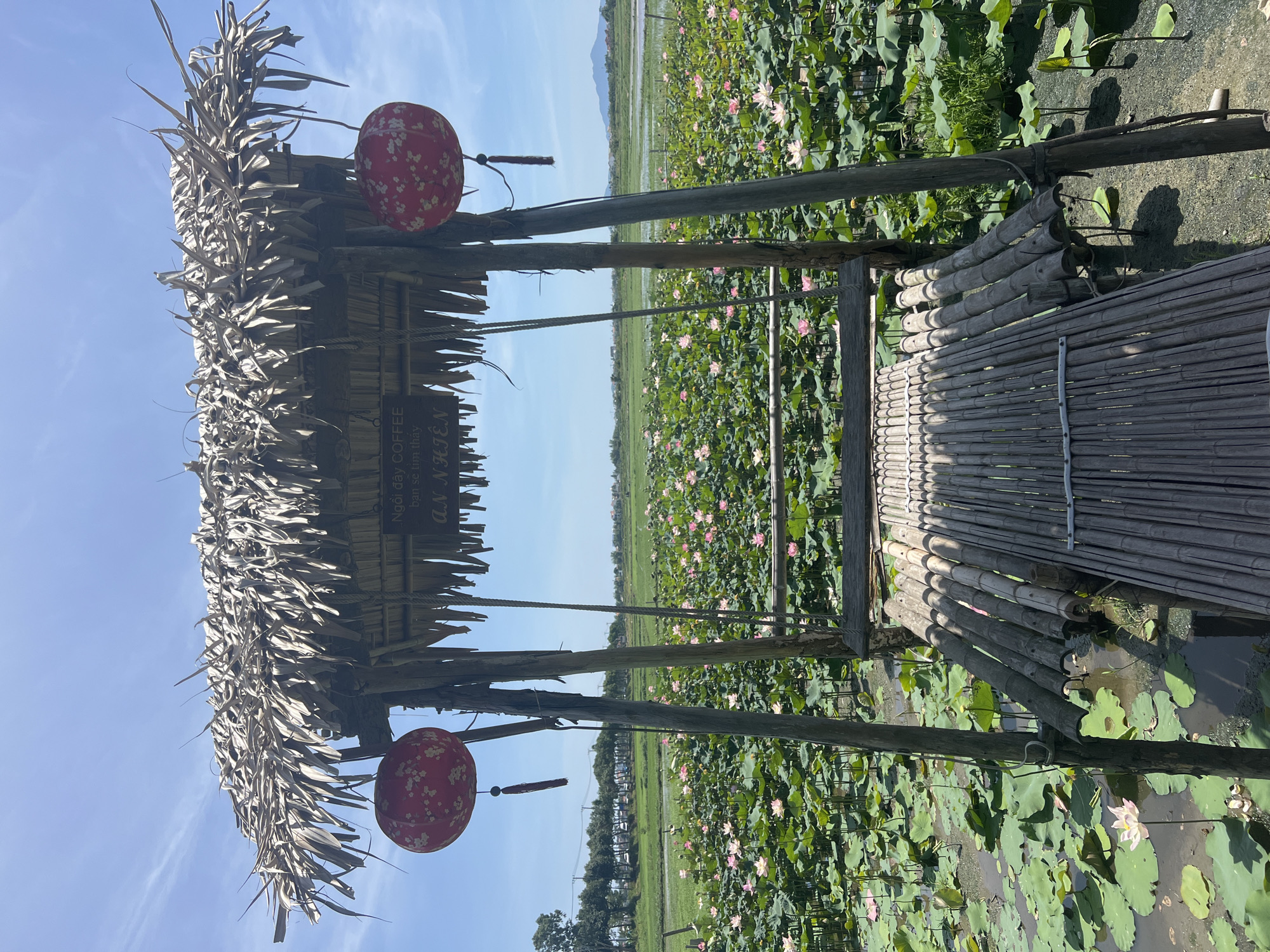 Lotus pond café stop in Hội An, Vietnam