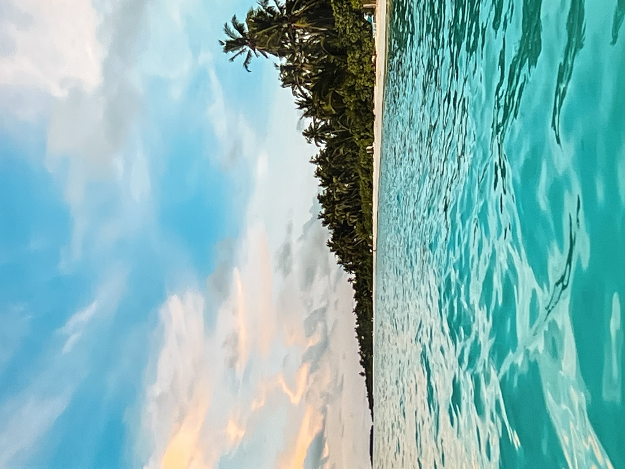Tropical beach scenes captured in Radzymin, Poland