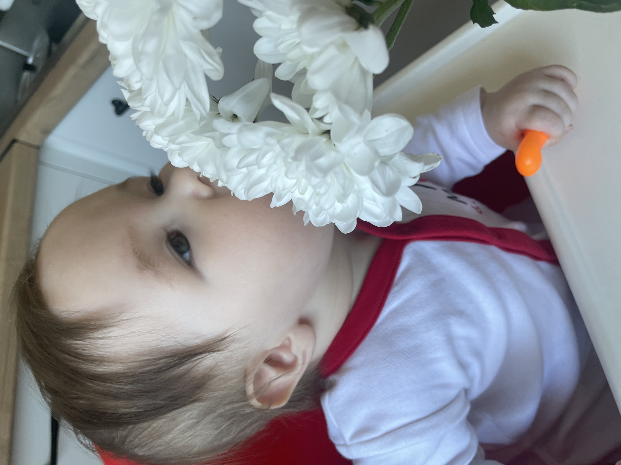 Baby and dog share quiet moment with white flowers