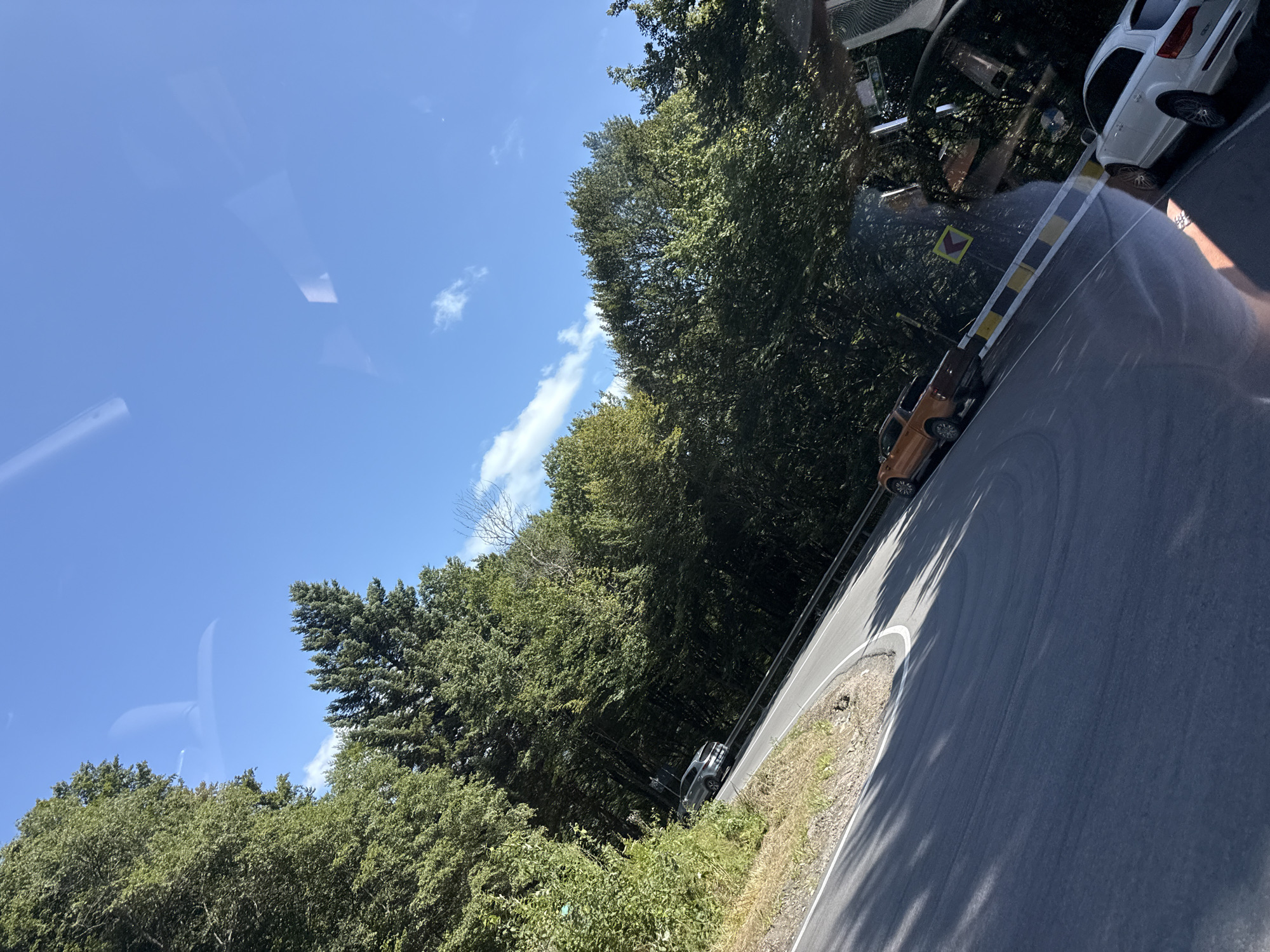 Road trip through Oituz's forested valley roads