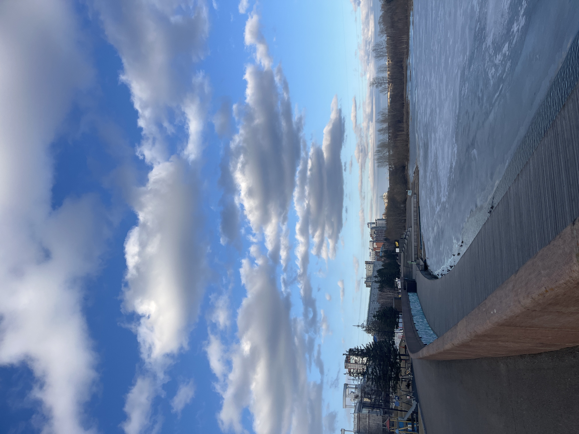 Winter day documented along Krasnoyarsk riverfront with pedestrians, wildlife