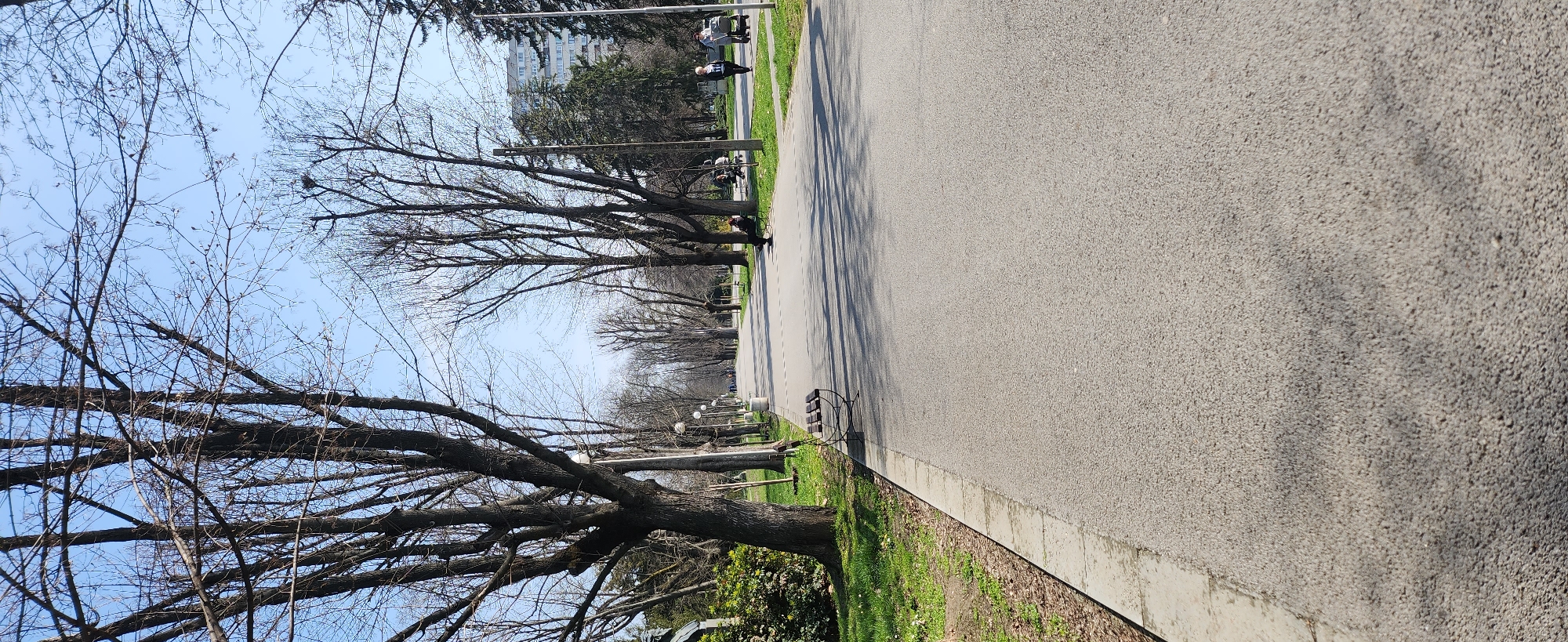 Spring morning street scene captured in Ruse park area