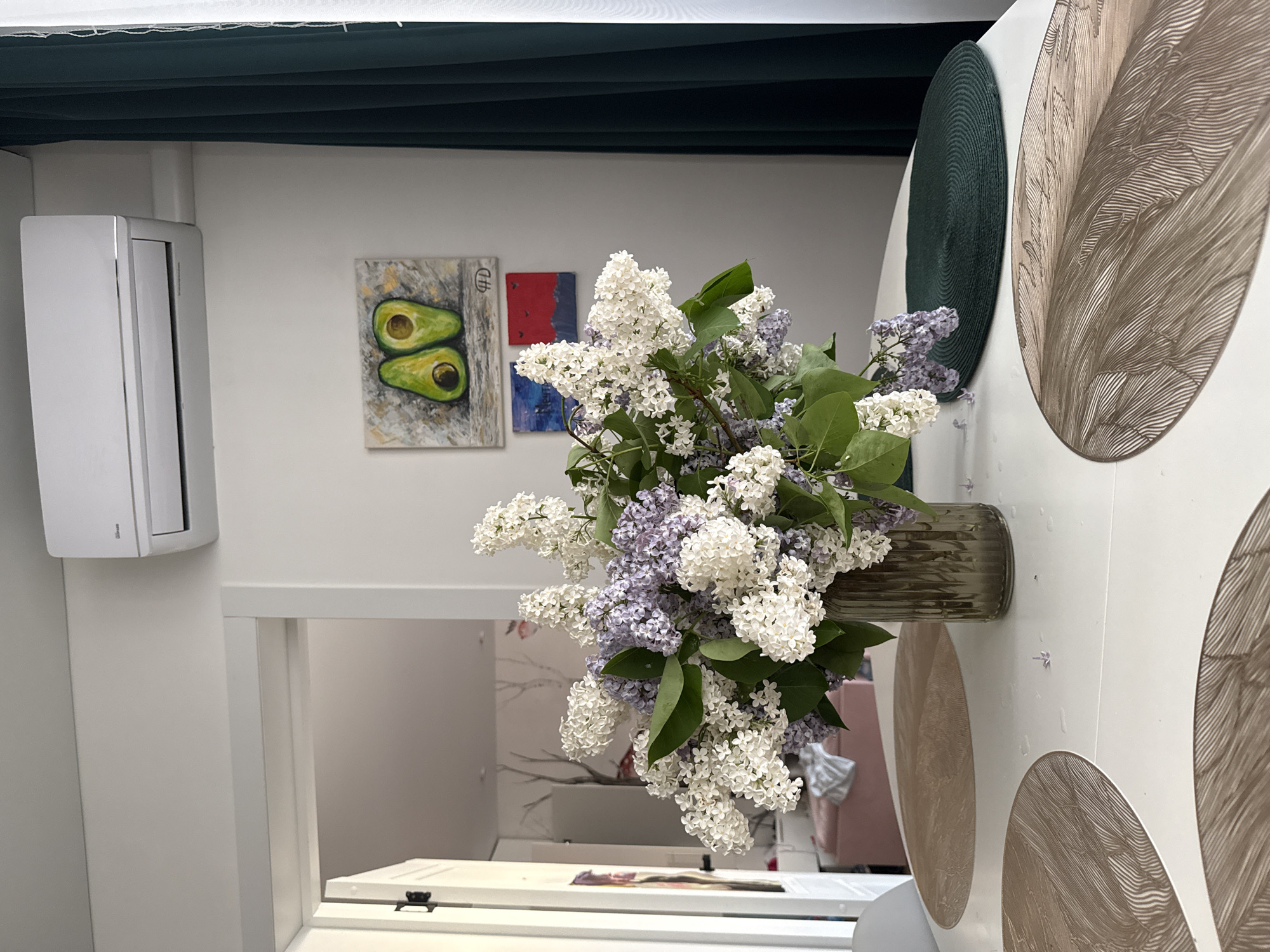 Domestic life moments with flowers, child, cats documented in Novgorod