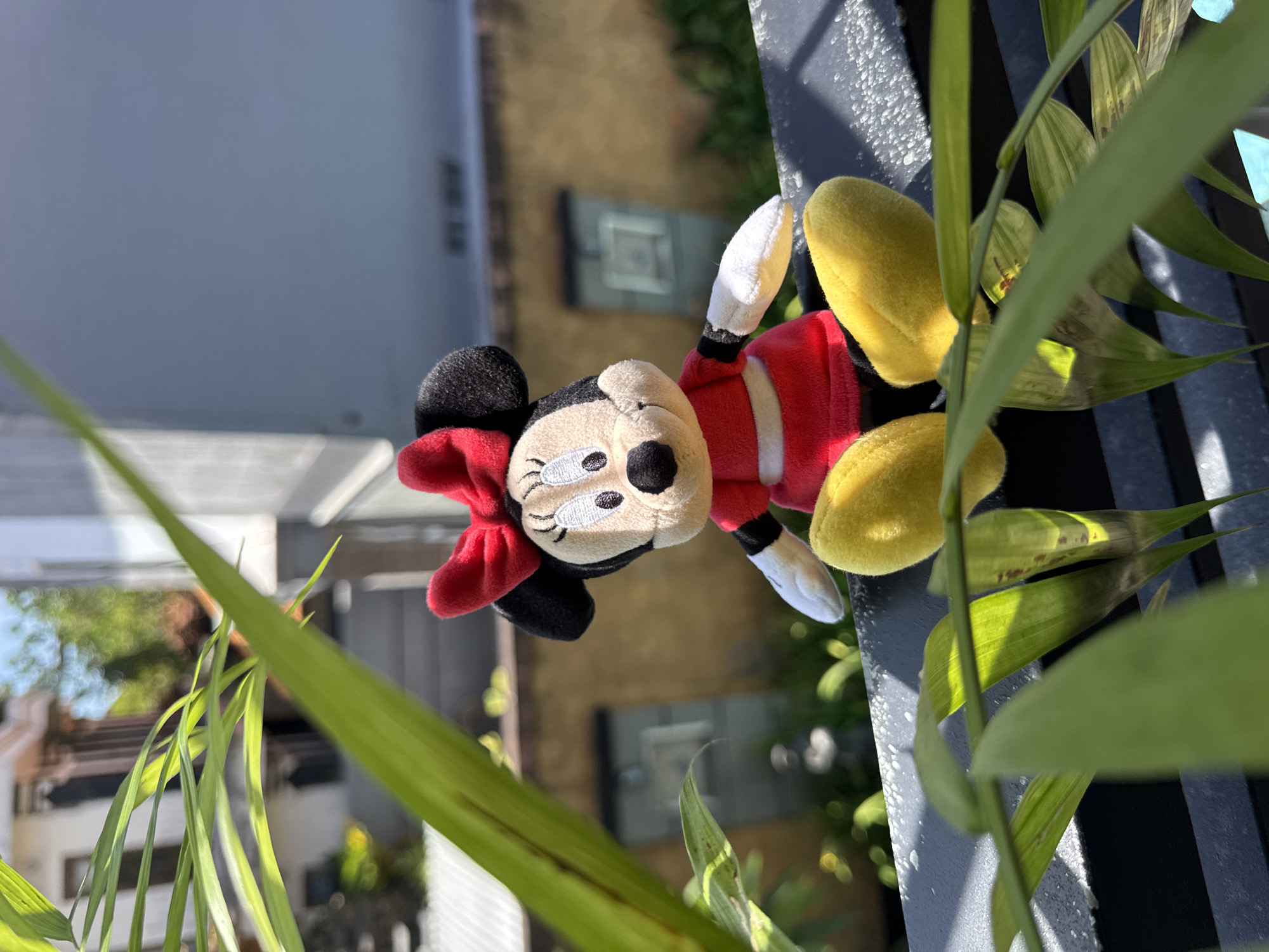 Minnie Mouse plush photographed around Kuta residential area