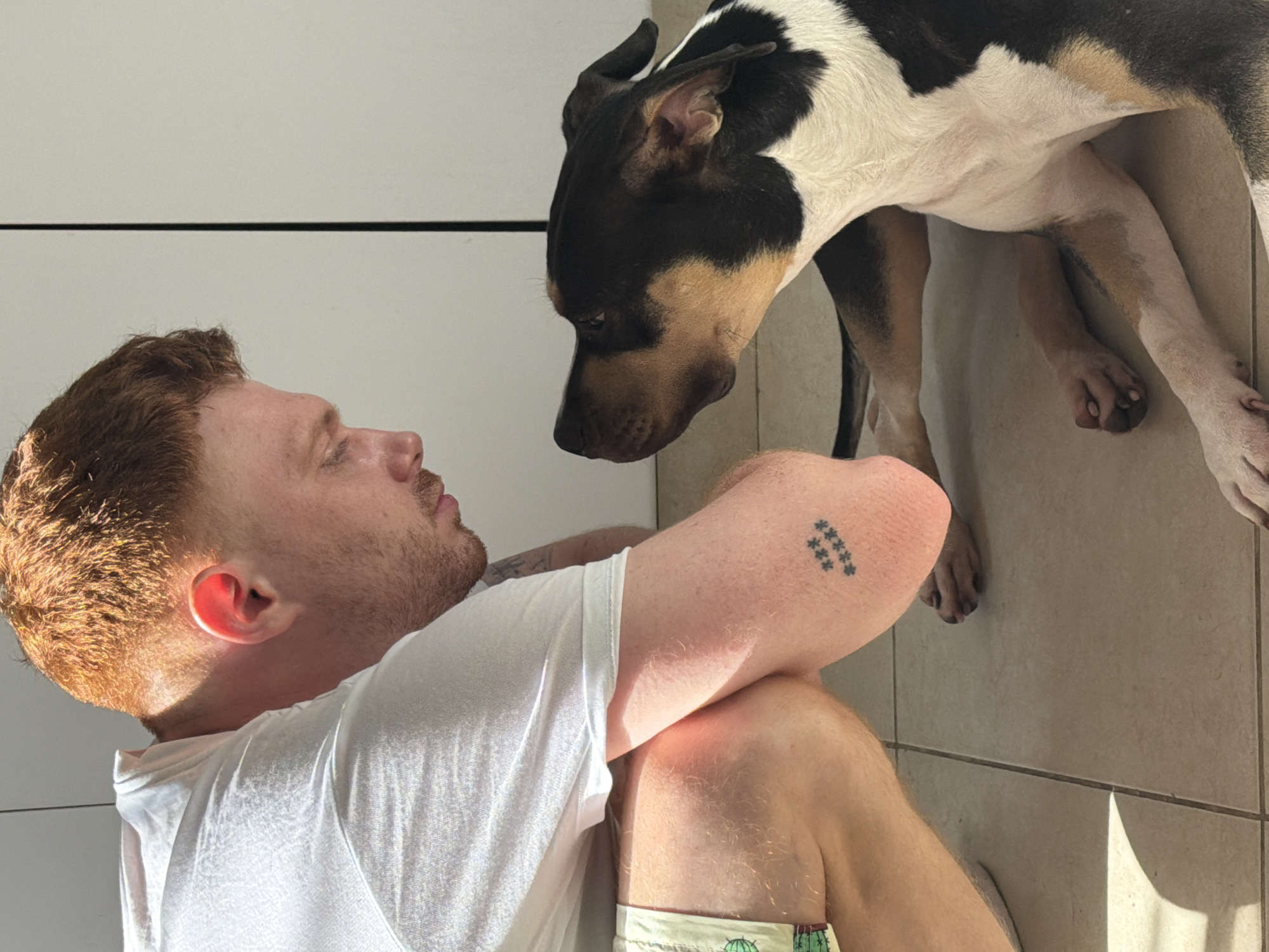 Man prepares meal while interacting with dog in Tel Aviv