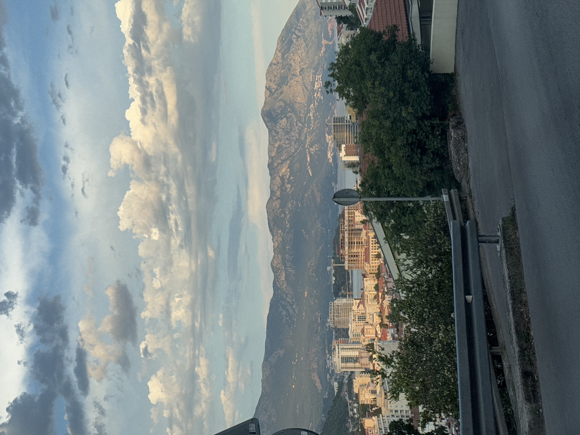 Afternoon in Budva: coastal views, hydrangeas, and street animals