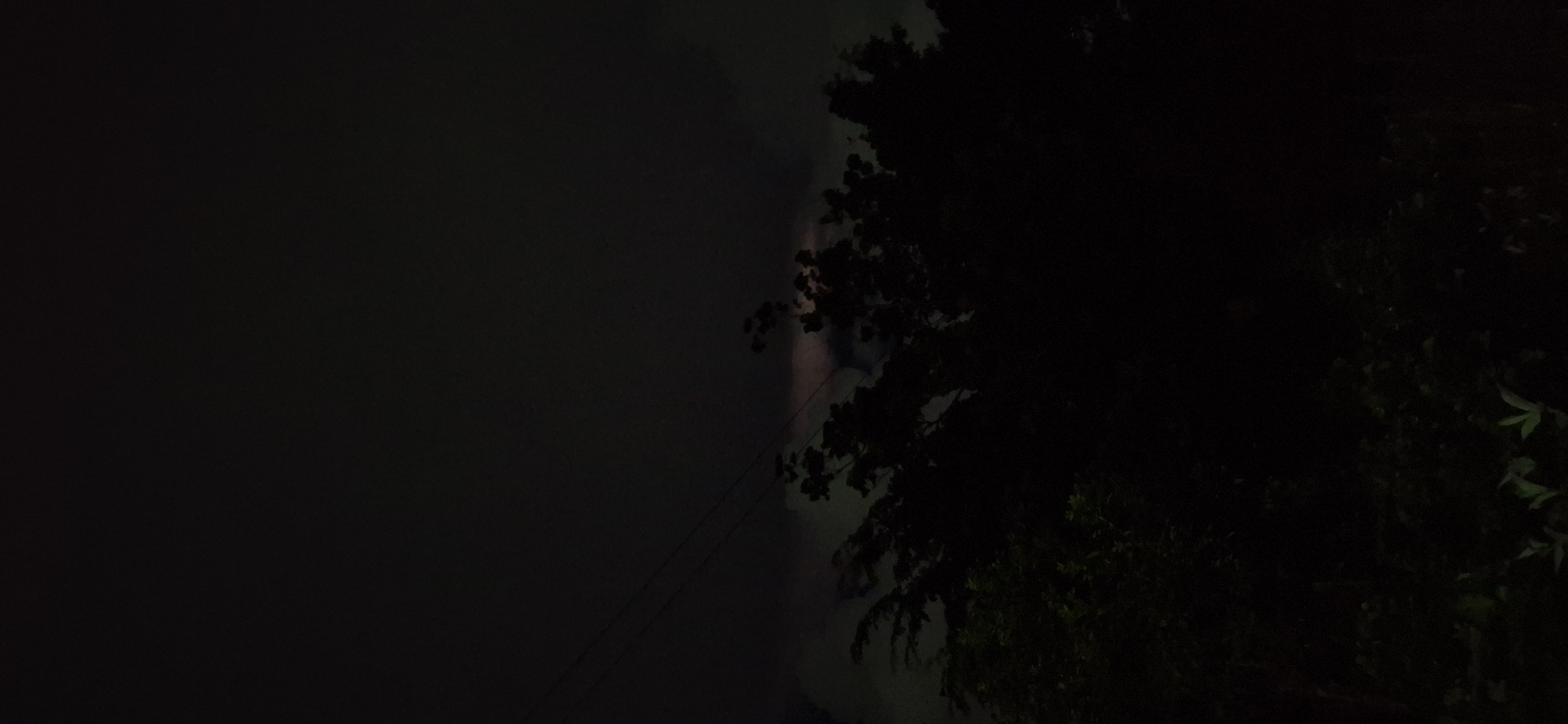 Lightning, roosting chickens, and mangoes on a stormy Venezuelan night