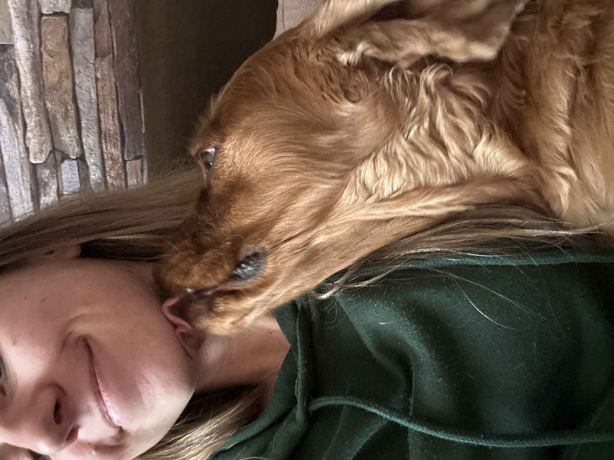 Cocker Spaniel enjoys cuddle time with owner in Sofia