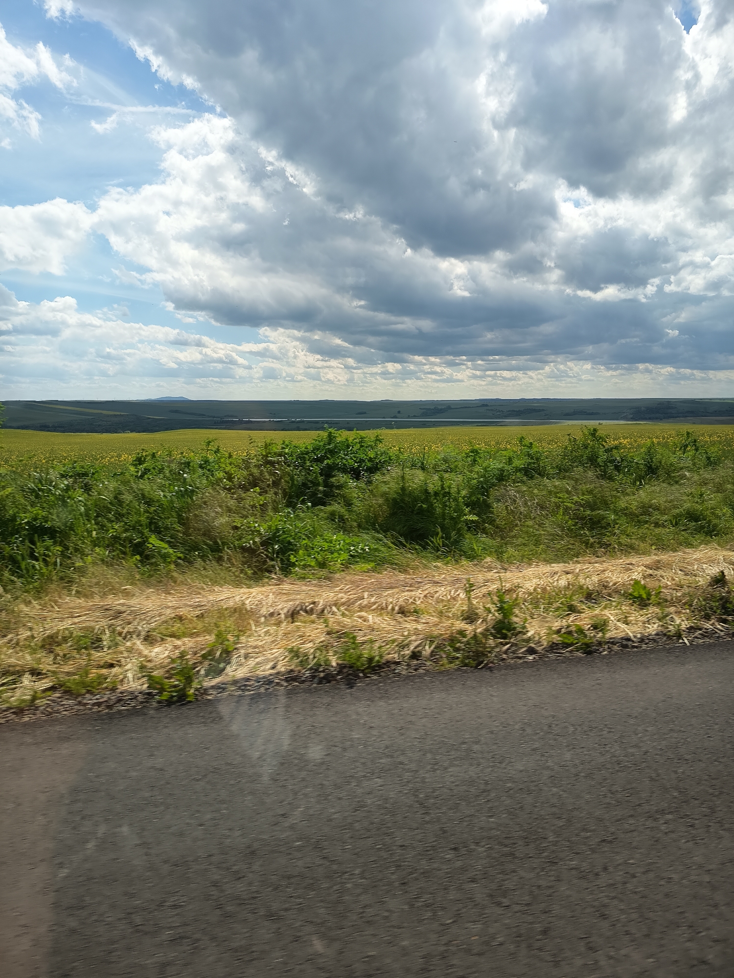 Rural drive captures agricultural landscapes and roadside poppies