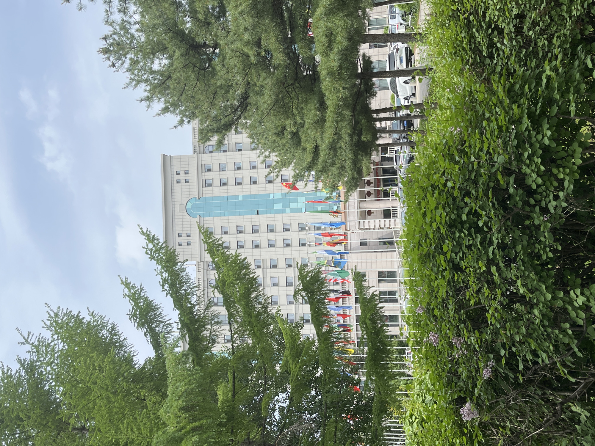International building complex documented in Changchun during morning hours