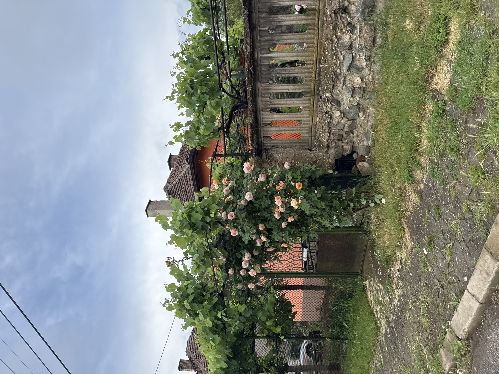 Morning documentation captures diverse scenes around Yana, Bulgaria