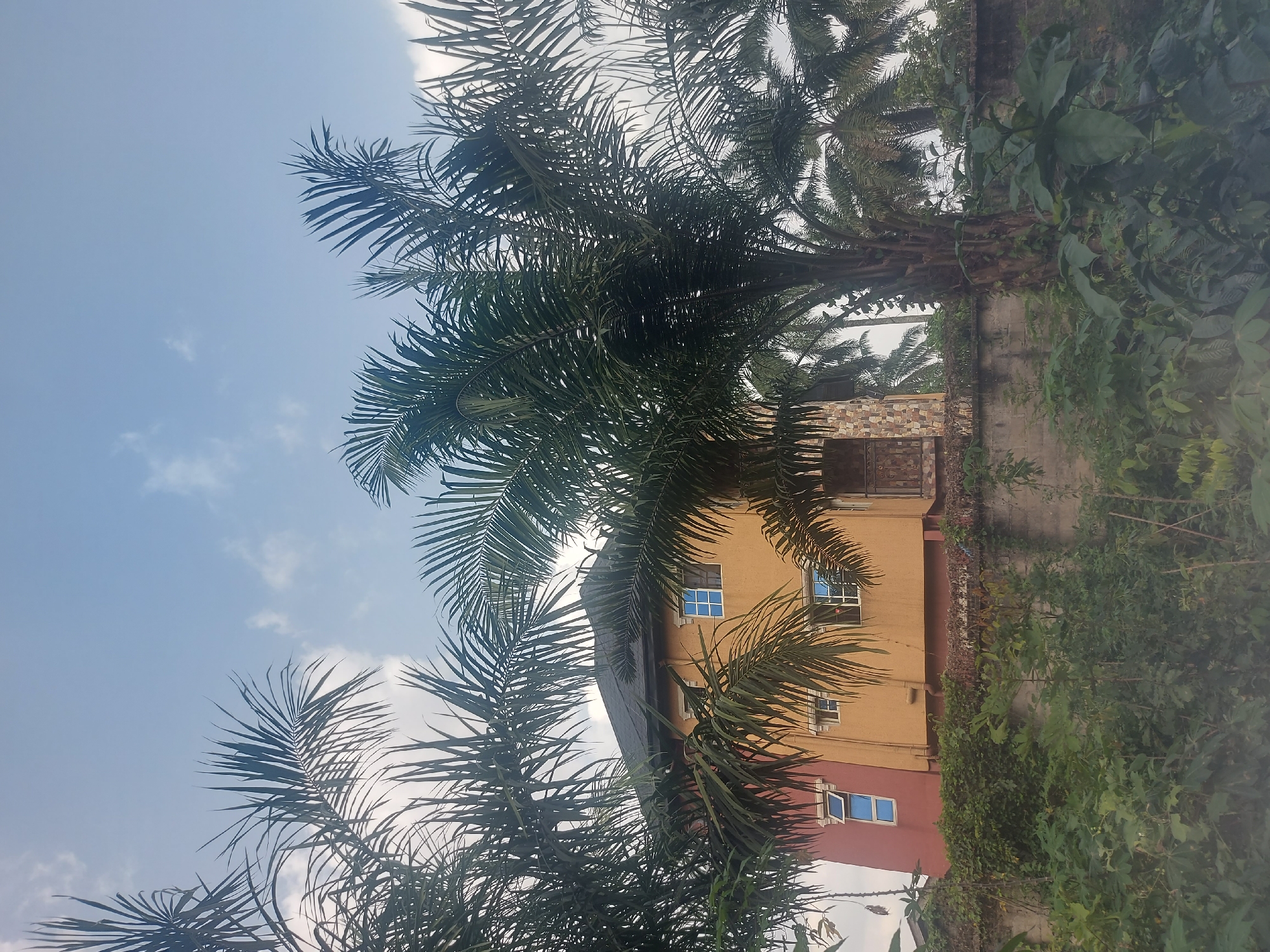 Daily life documented in residential Aba, Nigeria neighborhood