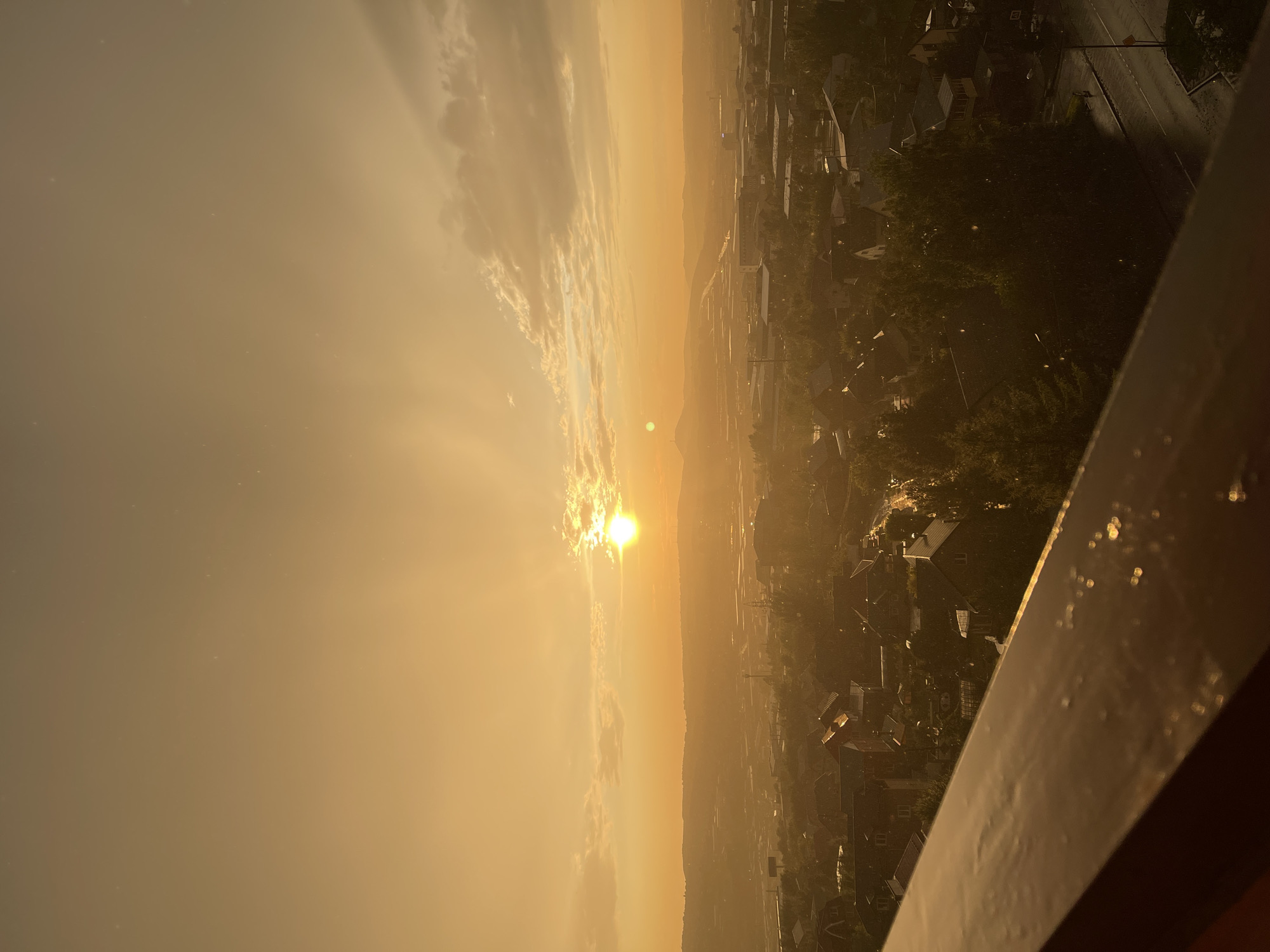 Kitten meets golden hour on a Krasnoyarsk balcony